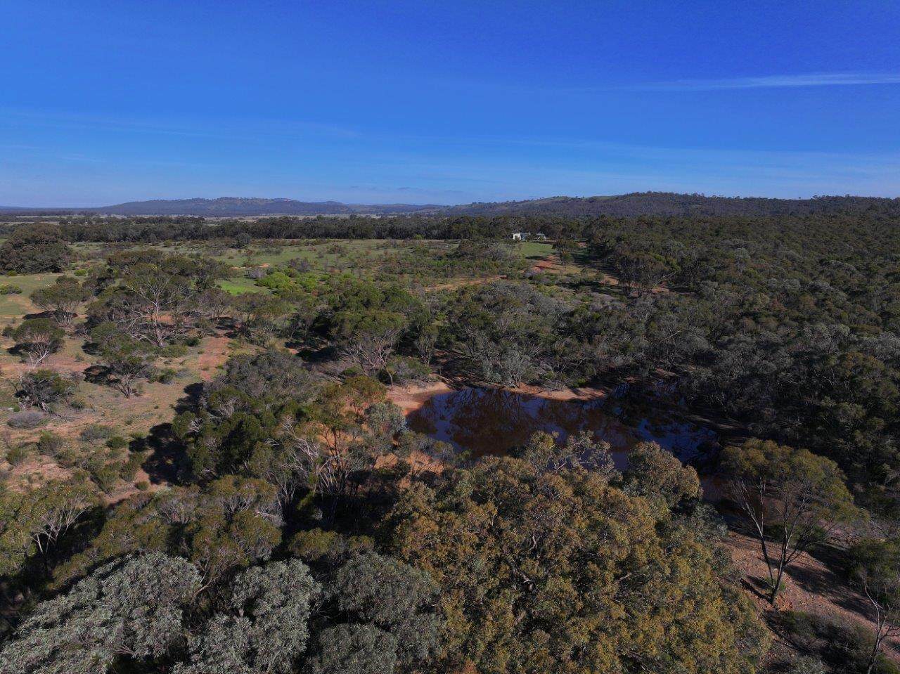 6803 Calder Highway, Wedderburn For Sale by Farmbuy.com - image 11