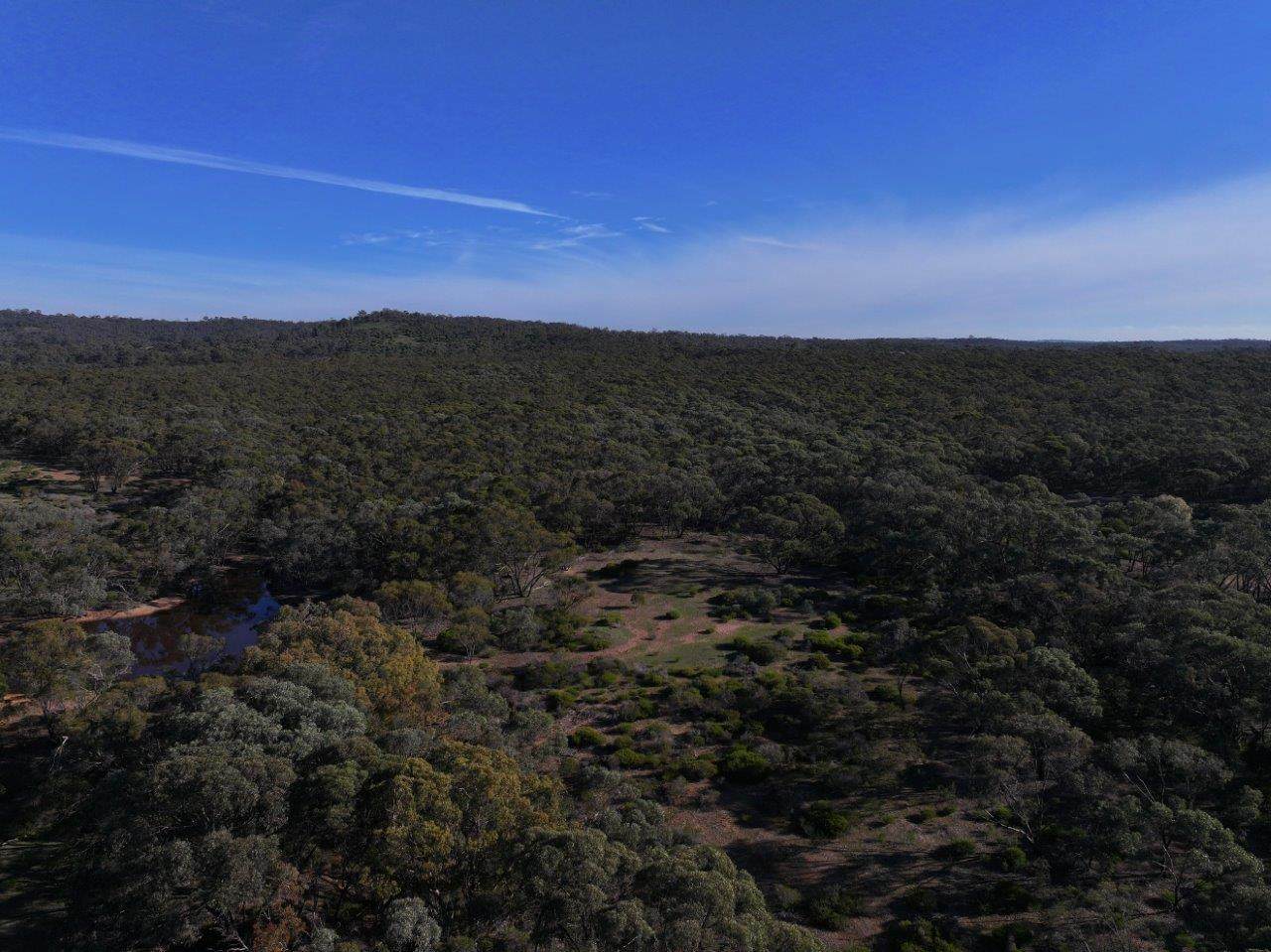 6803 Calder Highway, Wedderburn For Sale by Farmbuy.com - image 10