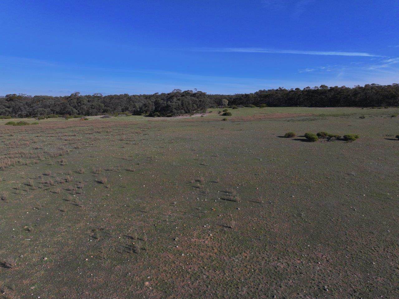 6803 Calder Highway, Wedderburn For Sale by Farmbuy.com - image 6