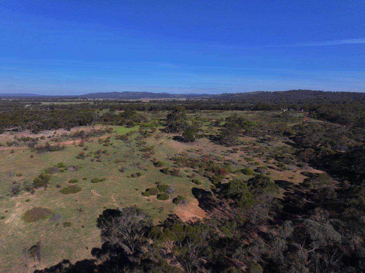 6803 Calder Highway, Wedderburn For Sale by Farmbuy.com - image 9