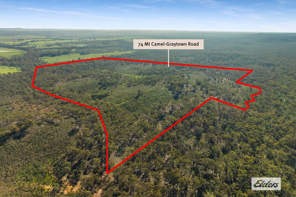 74 Mt Camel-Graytown Road, Graytown VIC 3608