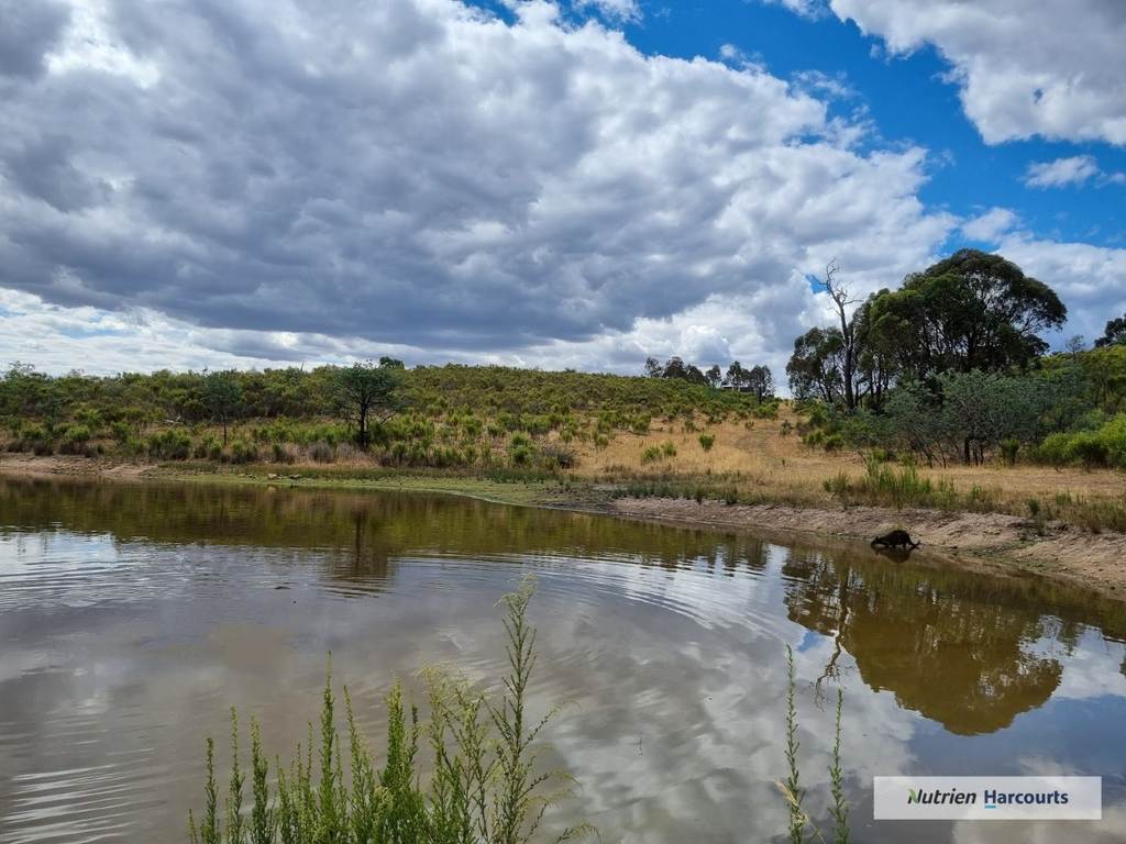 1 Barry Lane, Tooborac VIC 3522