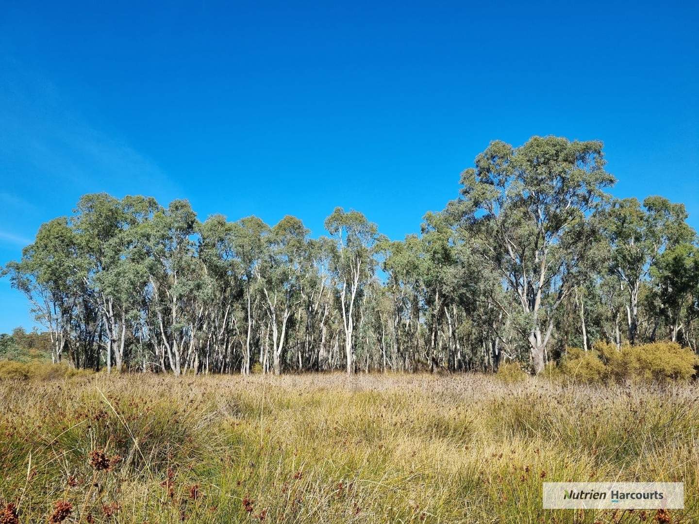 1 Barry Lane, Tooborac For Sale by Farmbuy.com - image 5
