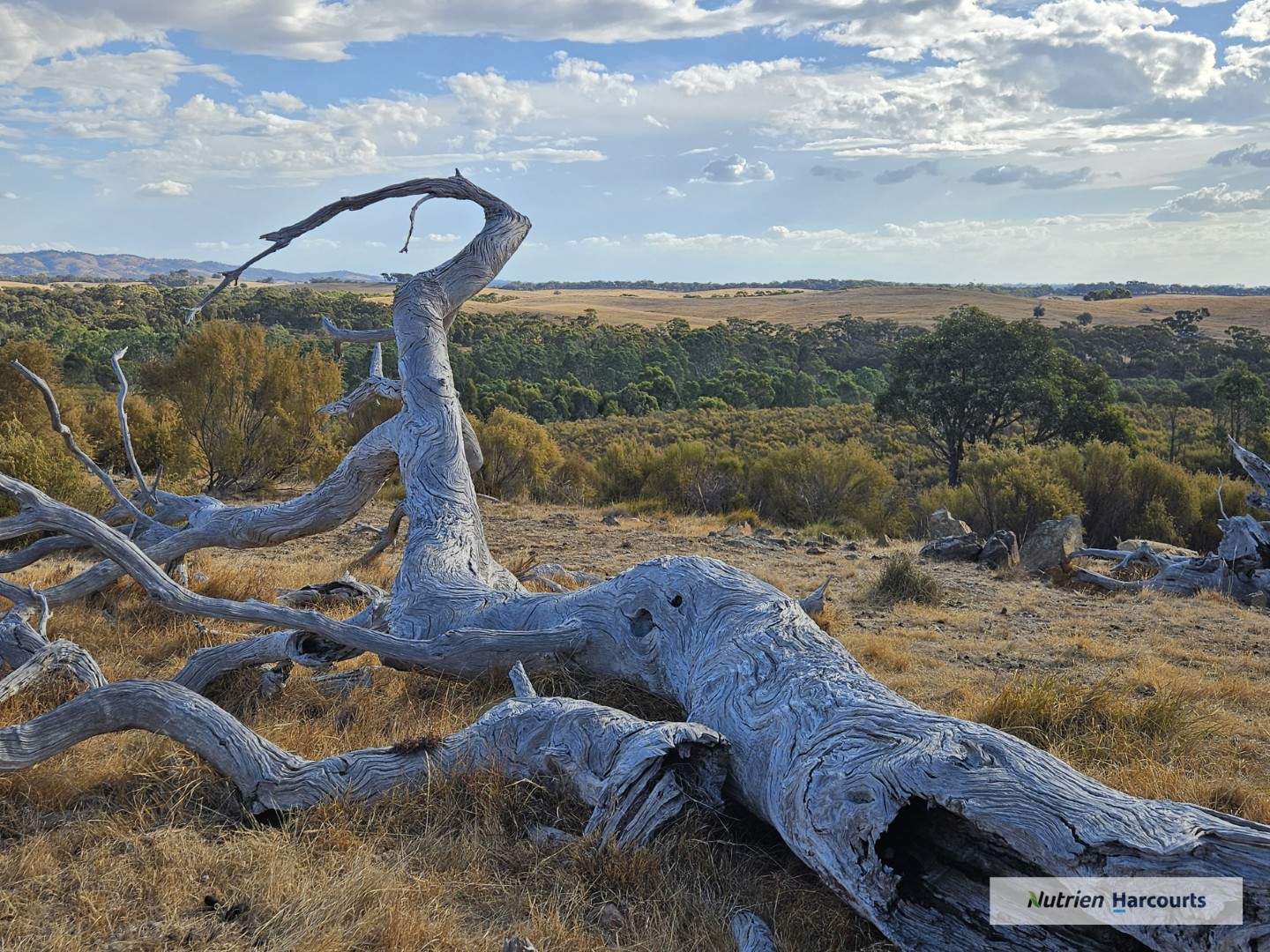 1 Barry Lane, Tooborac For Sale by Farmbuy.com - image 10