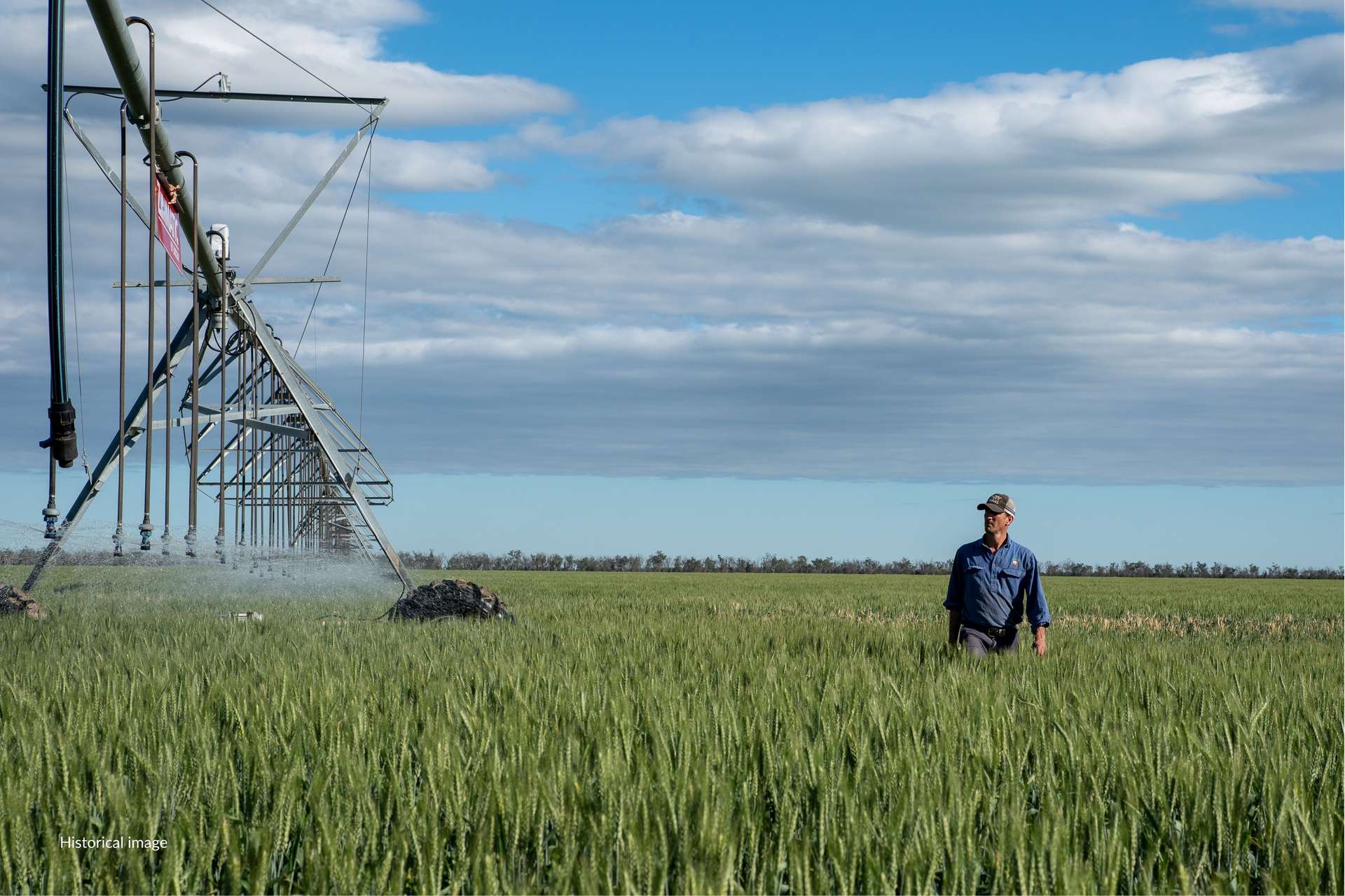 3615 Ballangarry Road, Thallon For Sale by Farmbuy.com - image 9