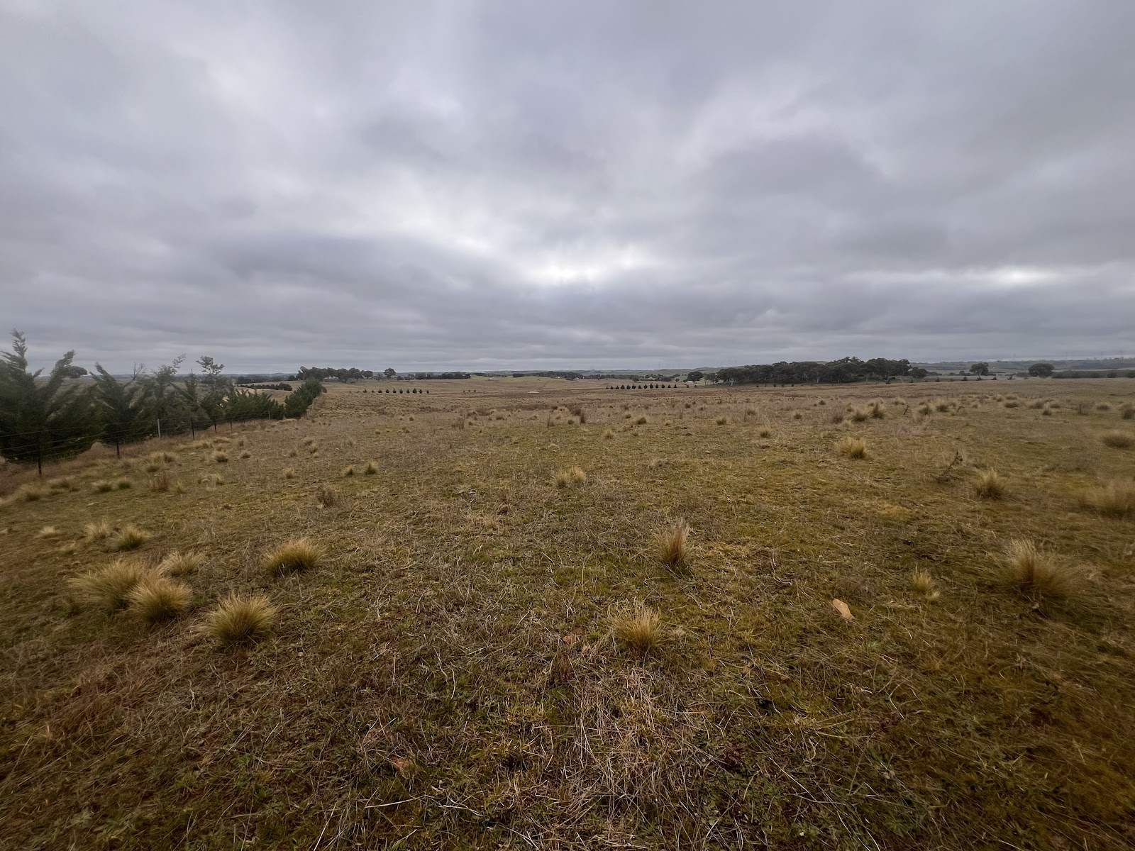 187 Woodhouselee Road, Wayo For Sale by Farmbuy.com - image 5