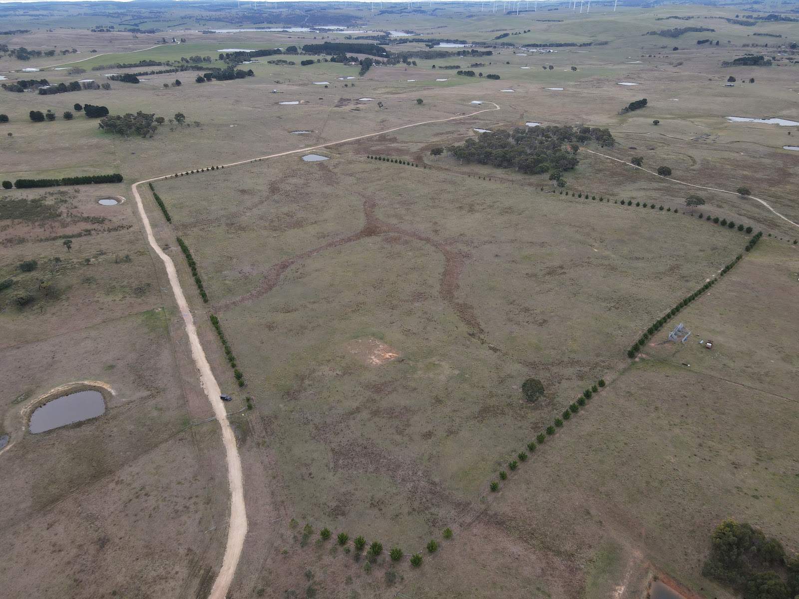 187 Woodhouselee Road, Wayo For Sale by Farmbuy.com - image 9