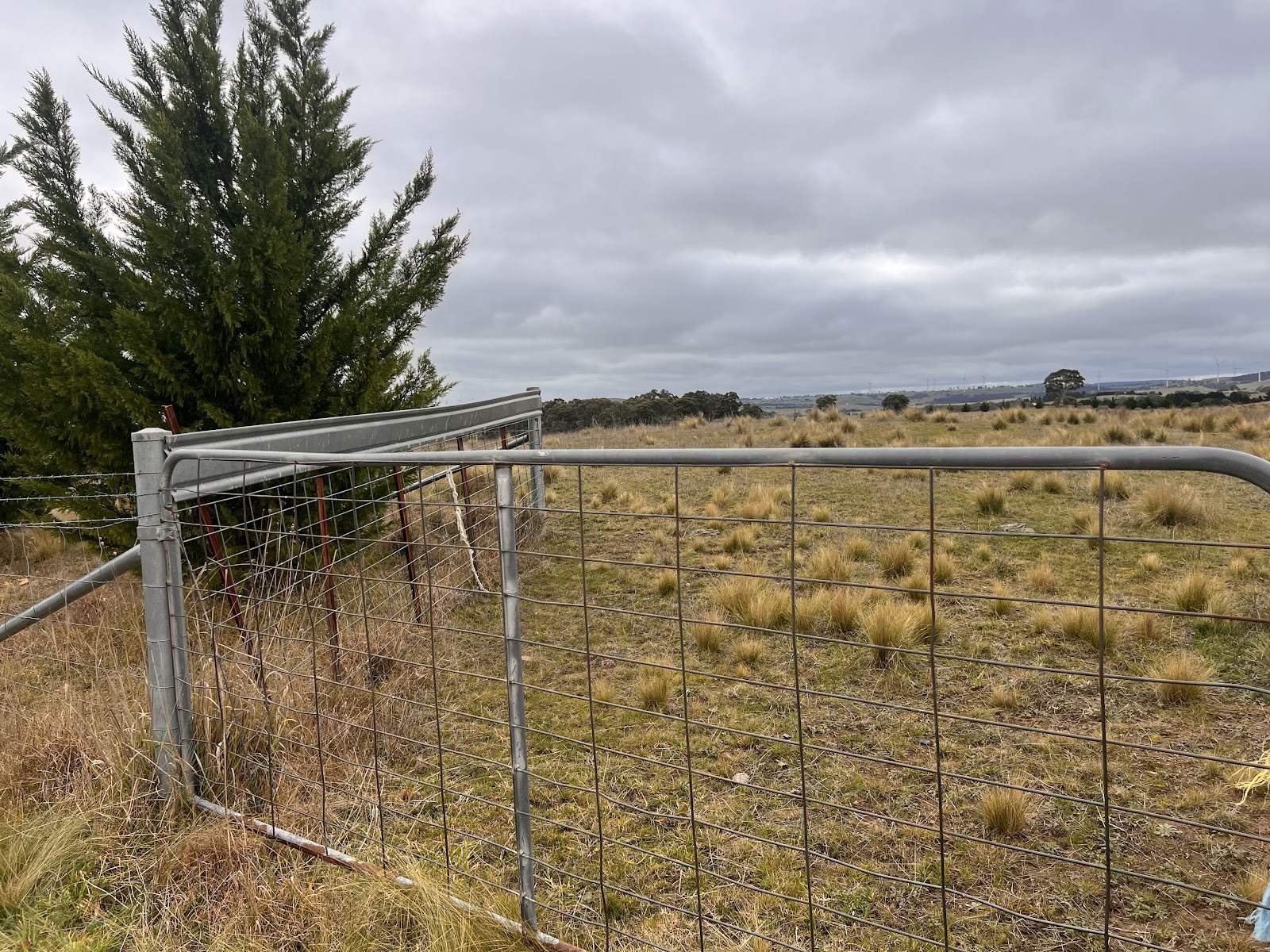 187 Woodhouselee Road, Wayo For Sale by Farmbuy.com - image 7
