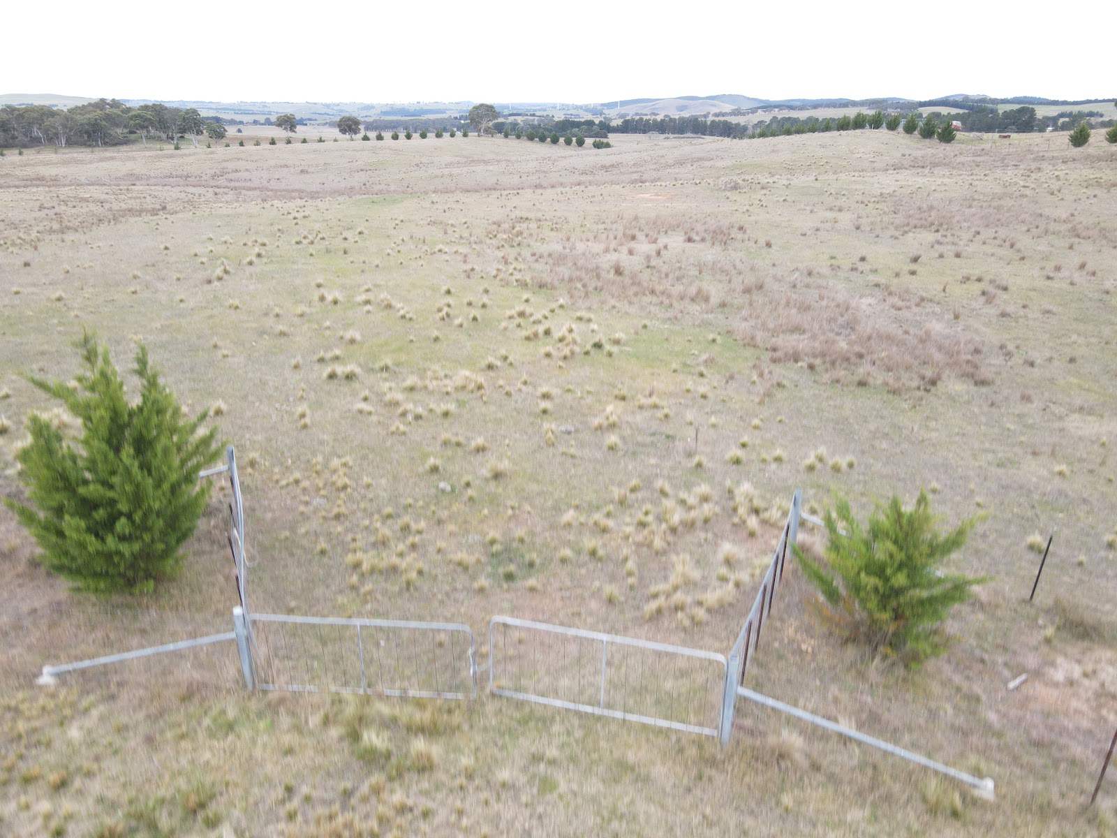 187 Woodhouselee Road, Wayo For Sale by Farmbuy.com - image 6