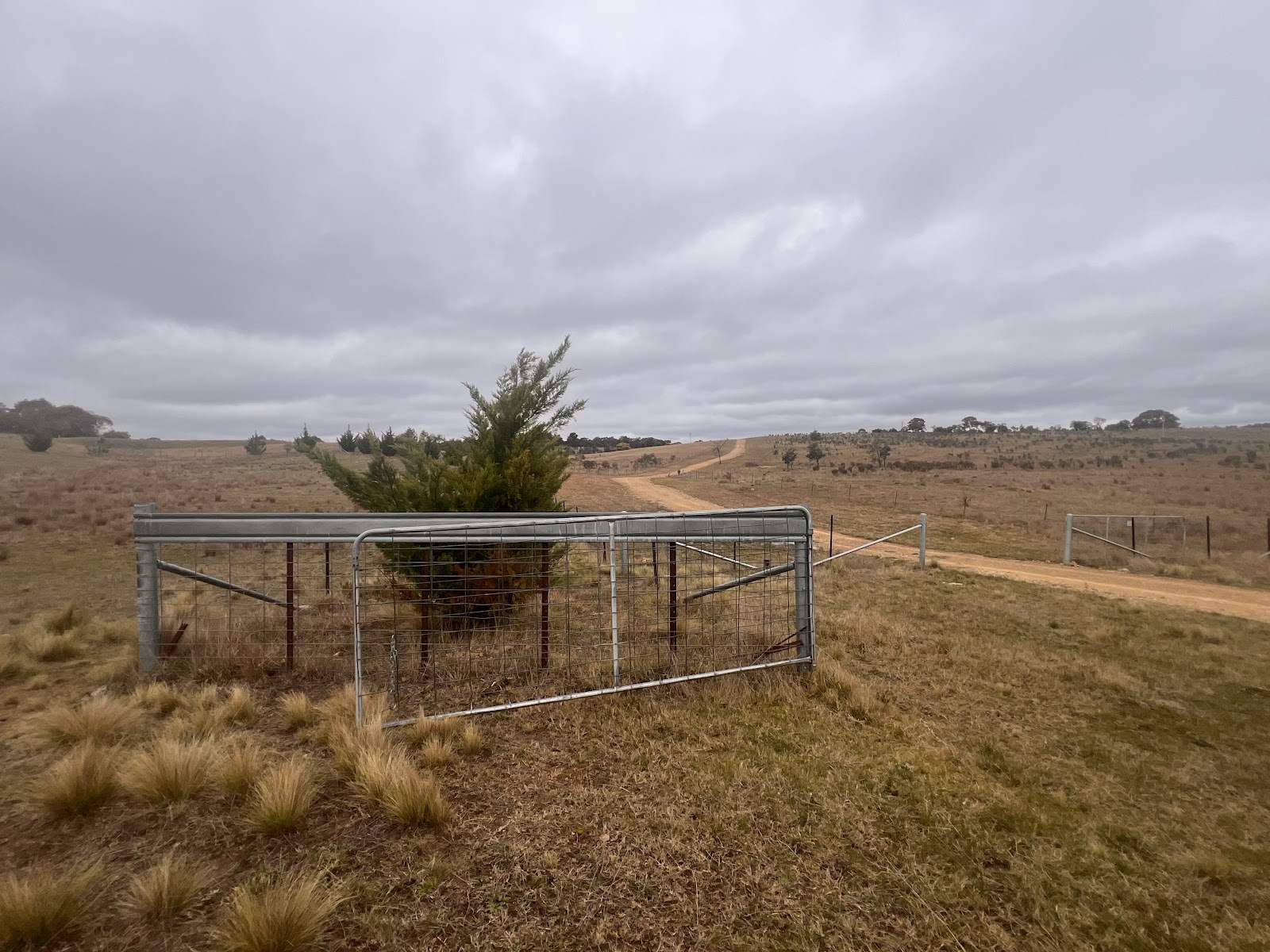 187 Woodhouselee Road, Wayo For Sale by Farmbuy.com - image 4