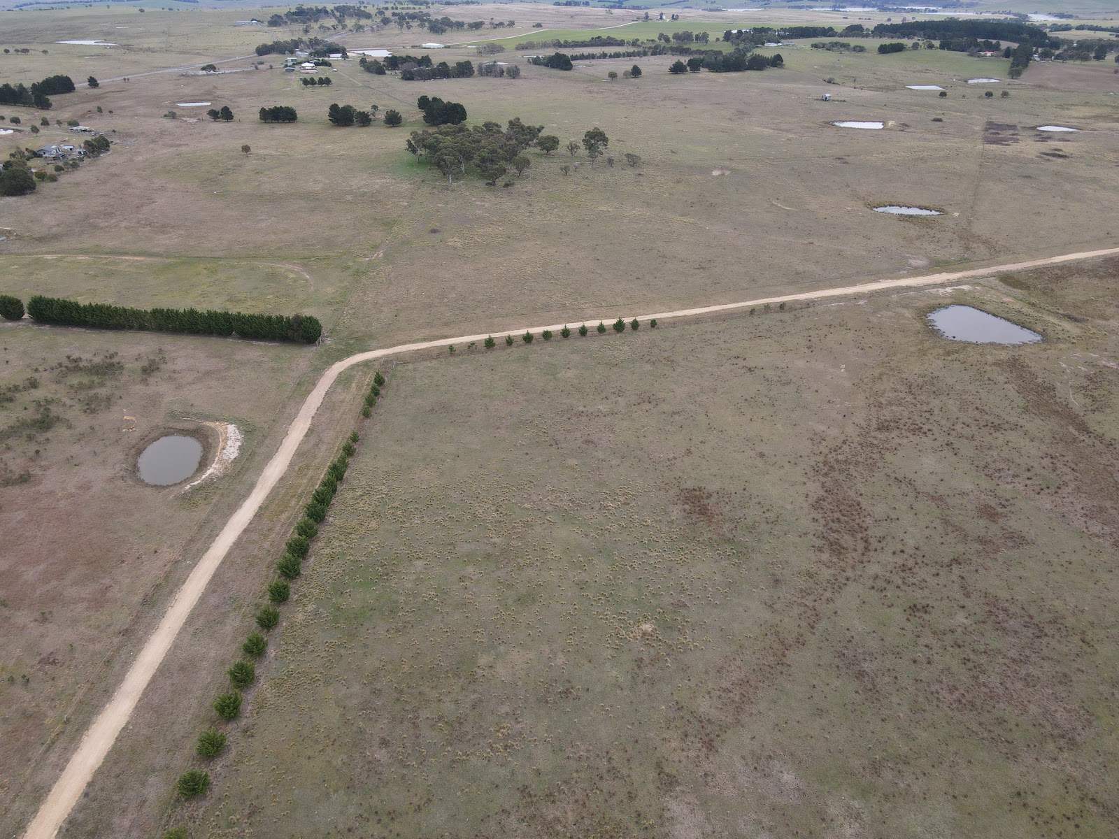 187 Woodhouselee Road, Wayo For Sale by Farmbuy.com - image 10