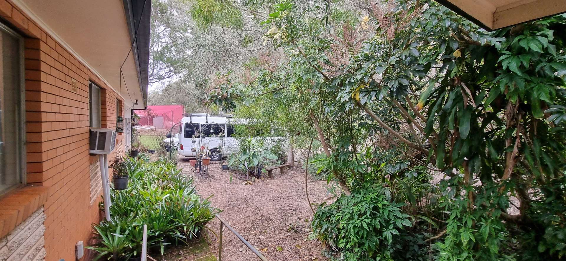 993 Longlands Gap Road, Wondecla For Sale by Farmbuy.com - image 23