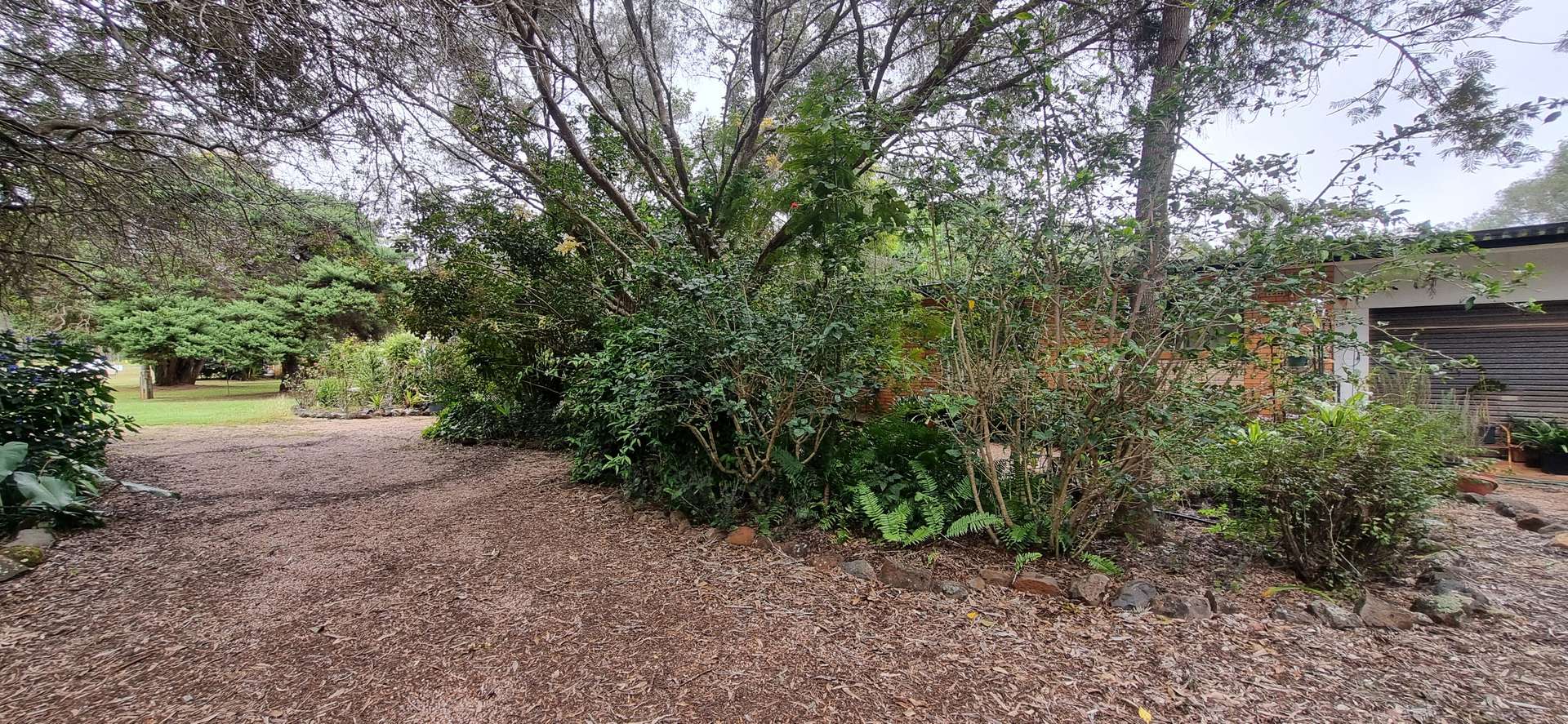 993 Longlands Gap Road, Wondecla For Sale by Farmbuy.com - image 14