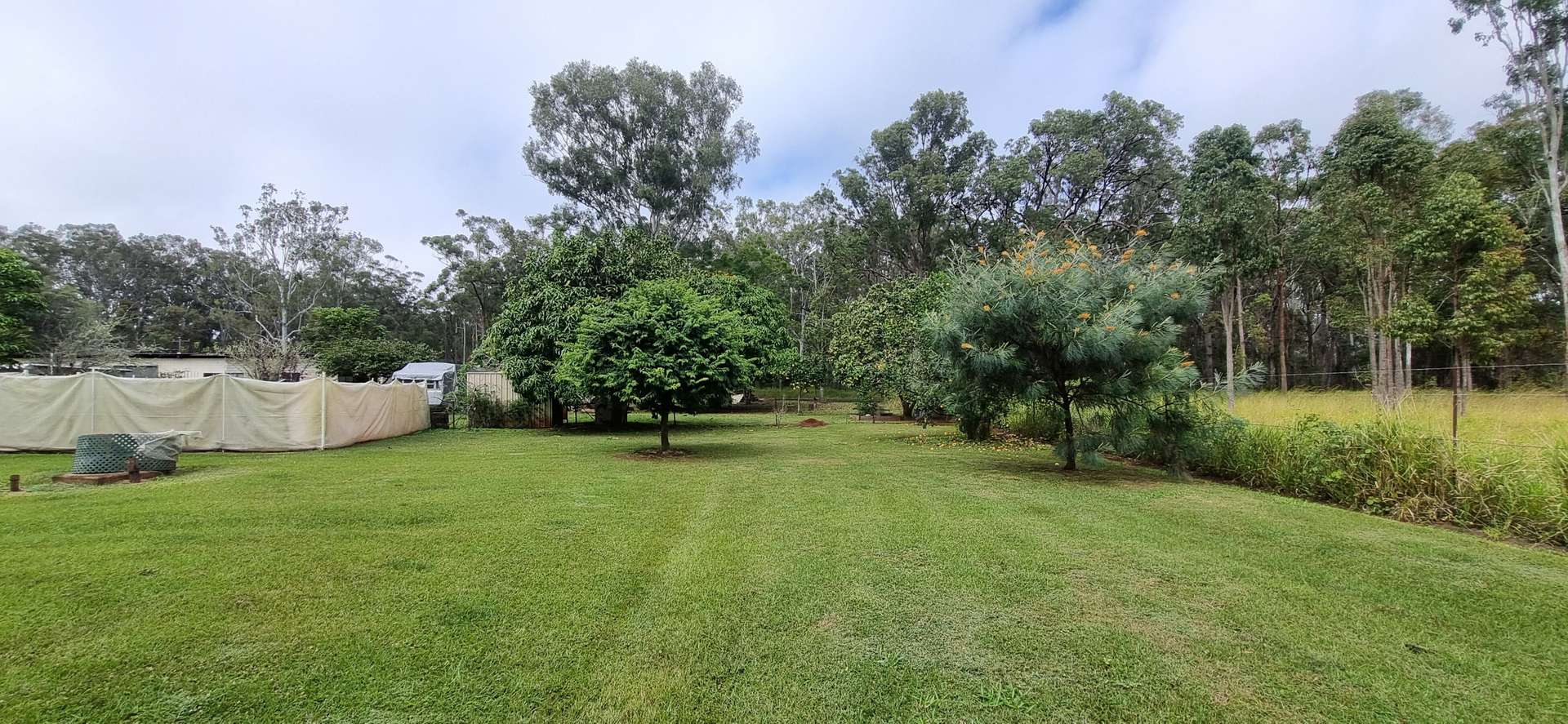 993 Longlands Gap Road, Wondecla For Sale by Farmbuy.com - image 27