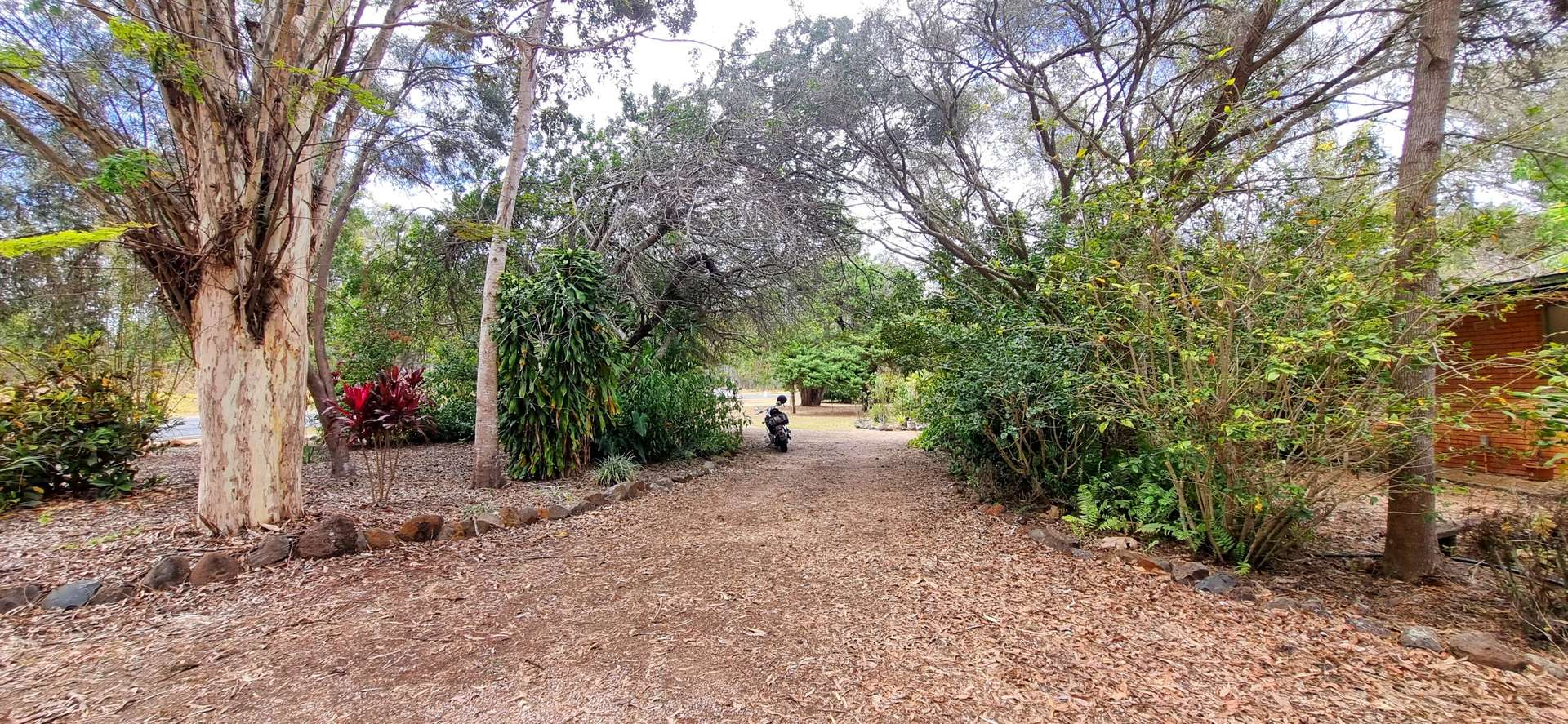 993 Longlands Gap Road, Wondecla For Sale by Farmbuy.com - image 17