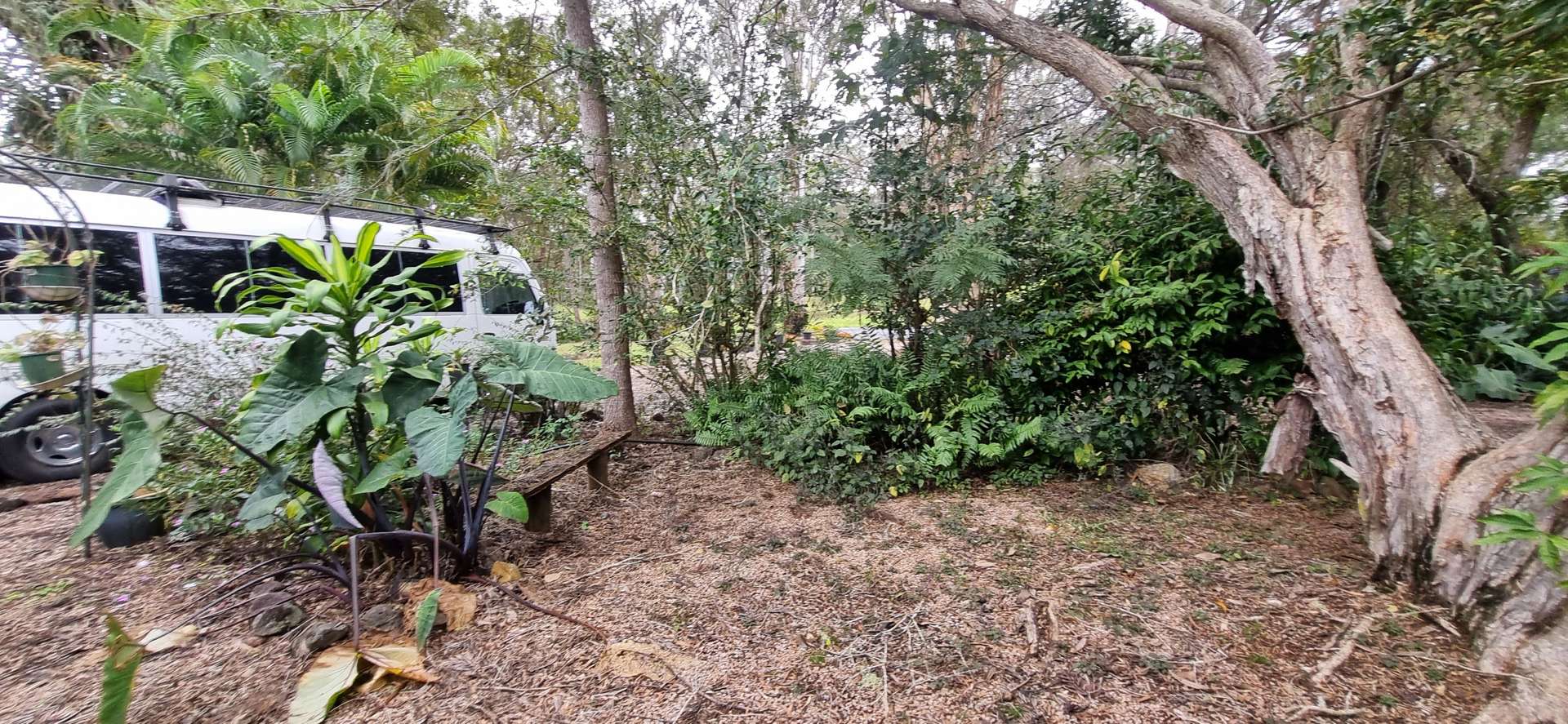 993 Longlands Gap Road, Wondecla For Sale by Farmbuy.com - image 24