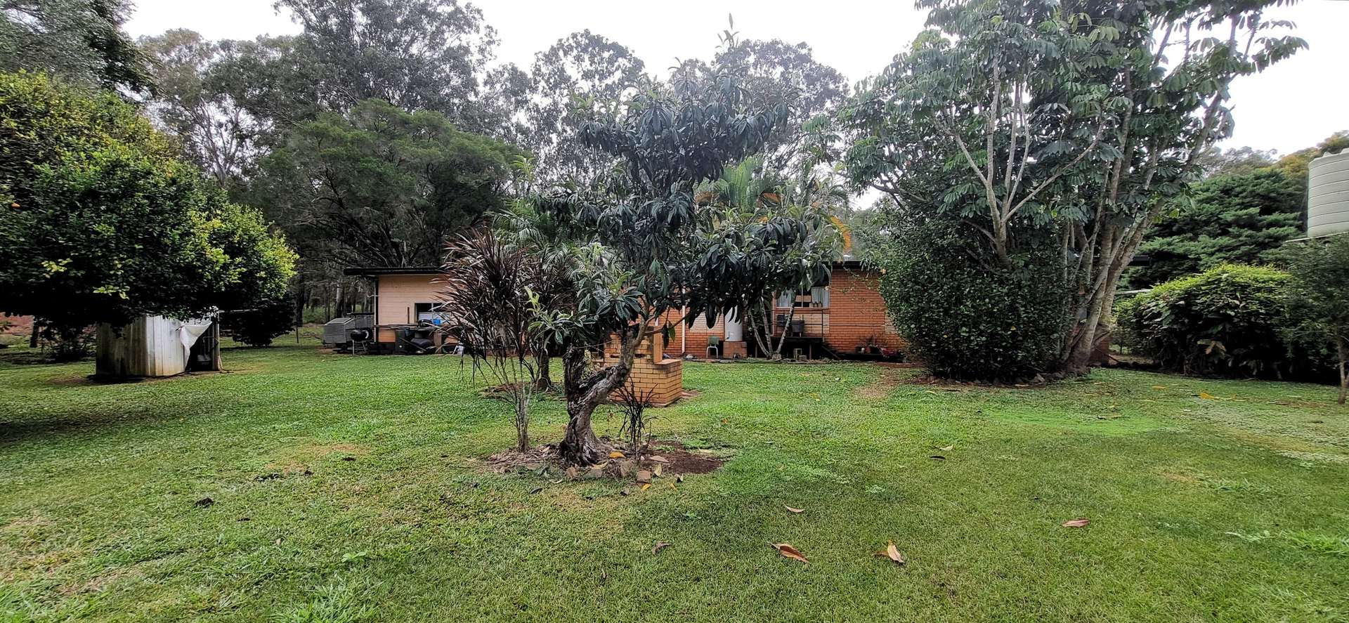 993 Longlands Gap Road, Wondecla For Sale by Farmbuy.com - image 29