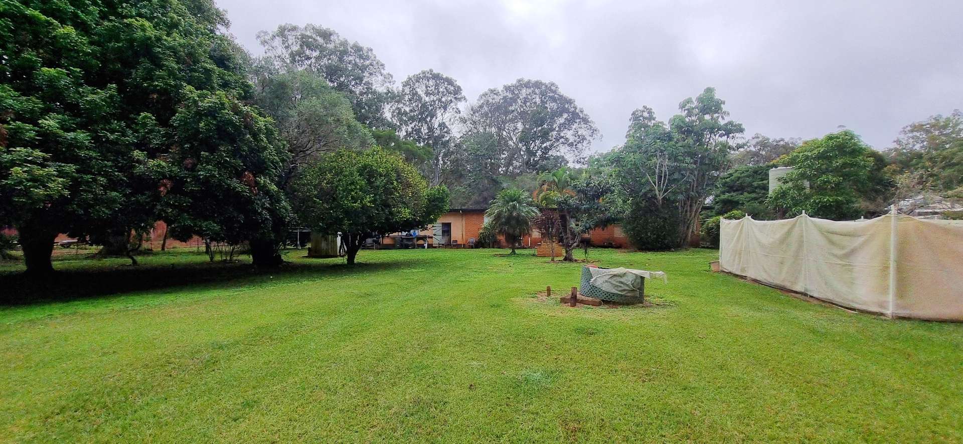 993 Longlands Gap Road, Wondecla For Sale by Farmbuy.com - image 28