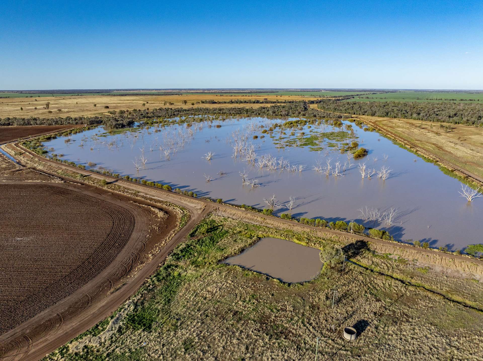 6210 Carnarvon Highway, Thallon For Sale by Farmbuy.com - image 13