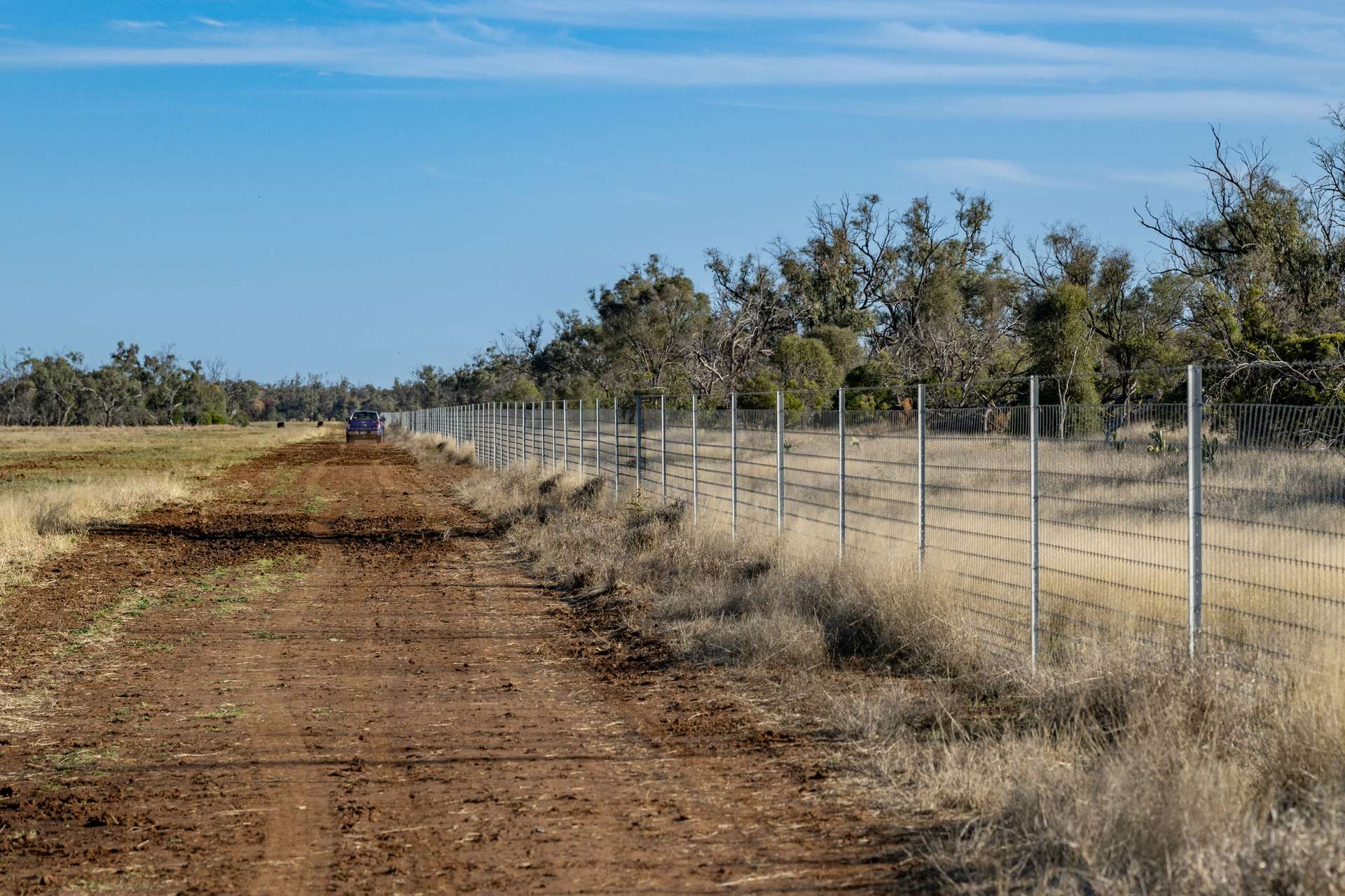 6210 Carnarvon Highway, Thallon For Sale by Farmbuy.com - image 20