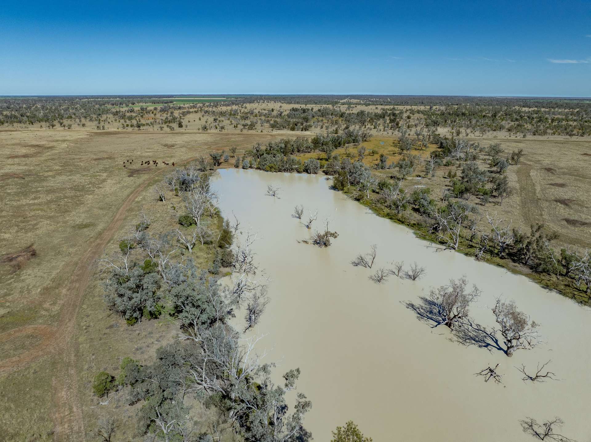 6210 Carnarvon Highway, Thallon For Sale by Farmbuy.com - image 14