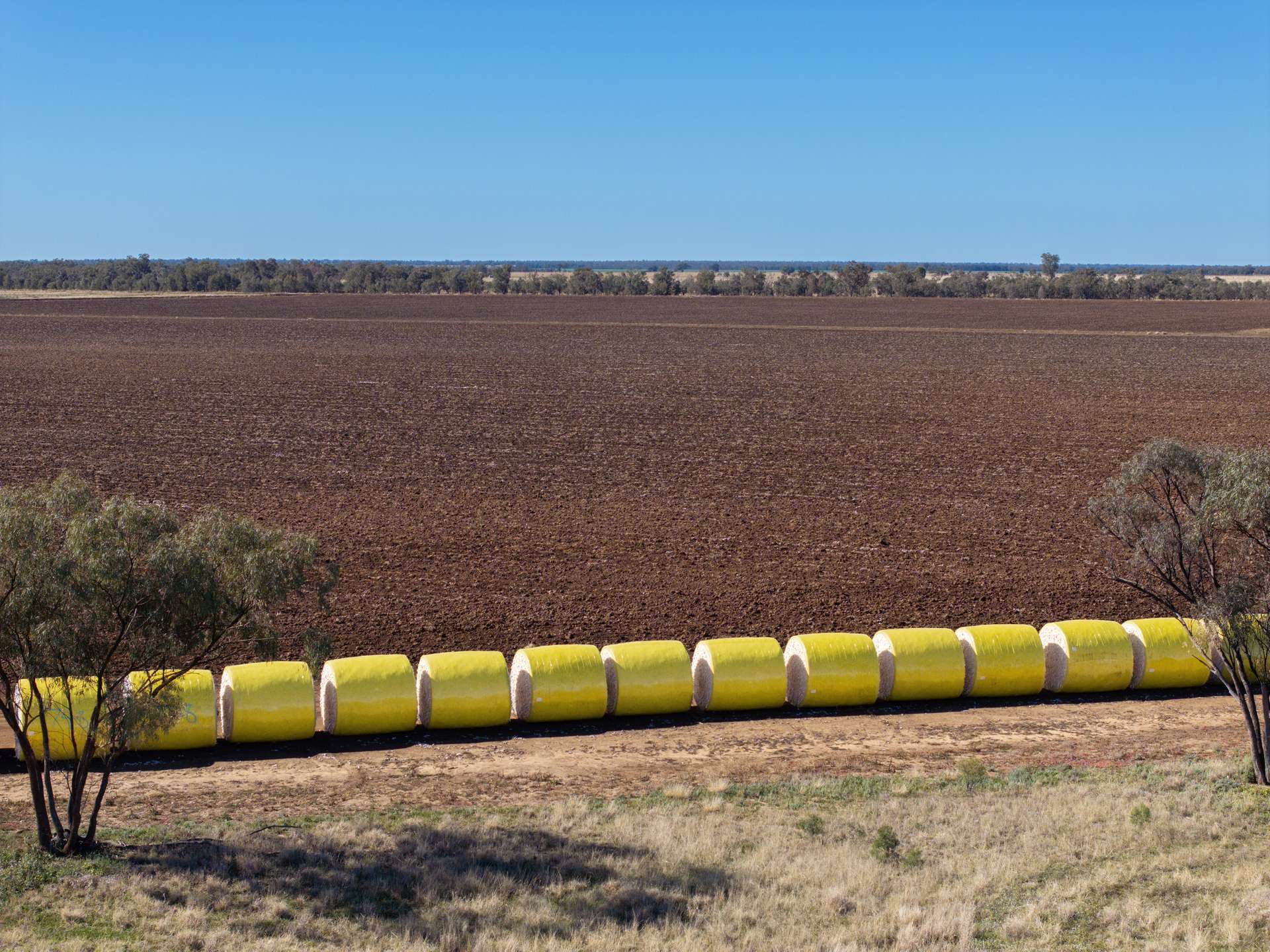 6210 Carnarvon Highway, Thallon For Sale by Farmbuy.com - image 10