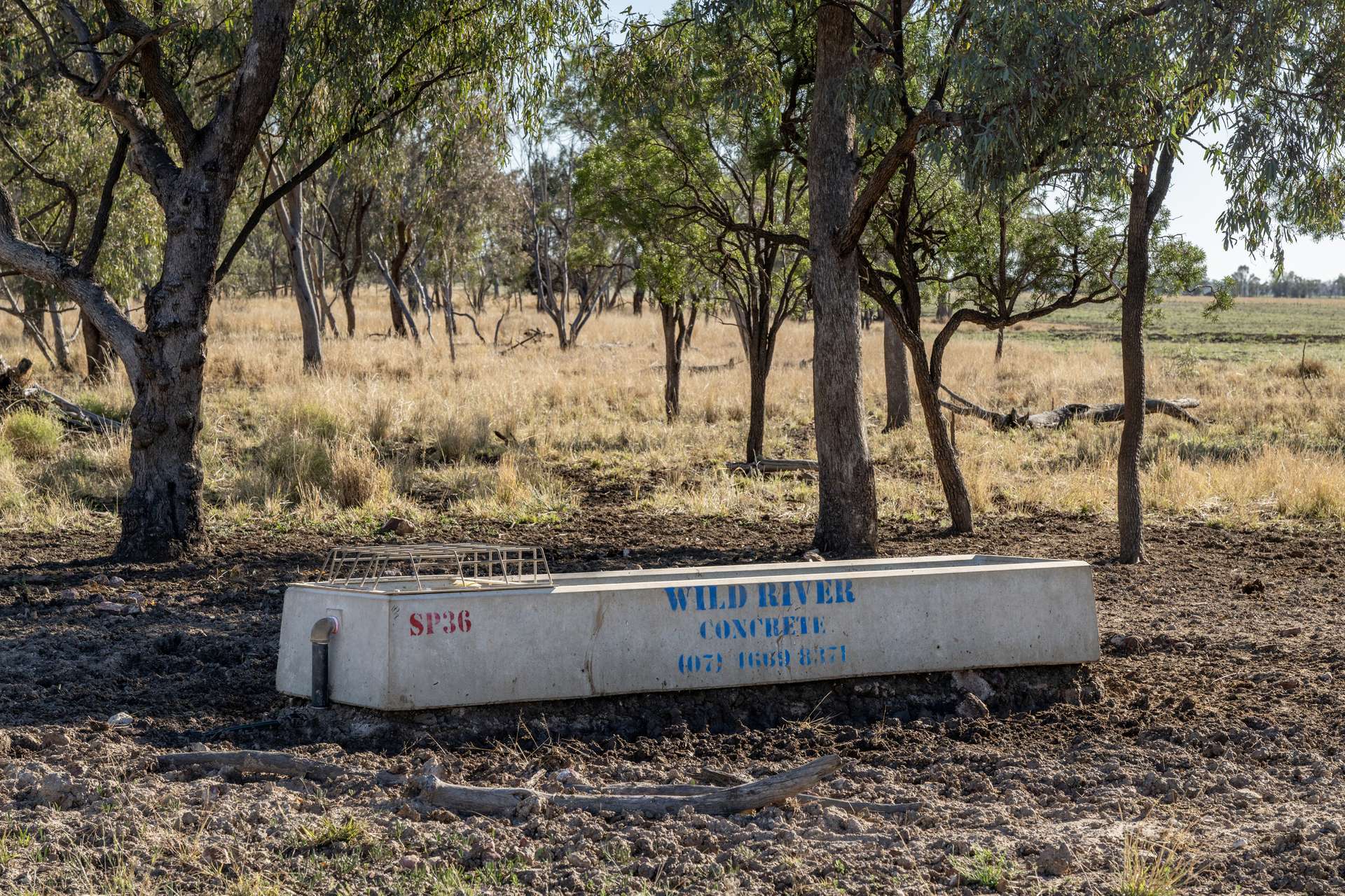 6210 Carnarvon Highway, Thallon For Sale by Farmbuy.com - image 15