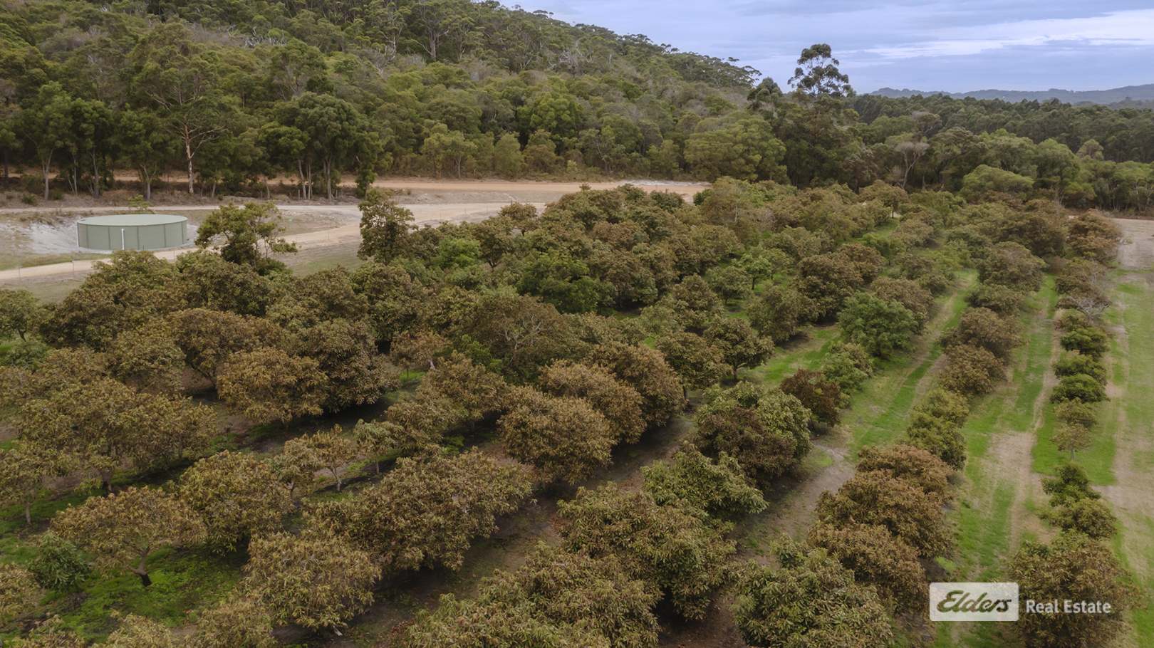 71 Tennessee. Road North, Lowlands For Sale by Farmbuy.com - image 30