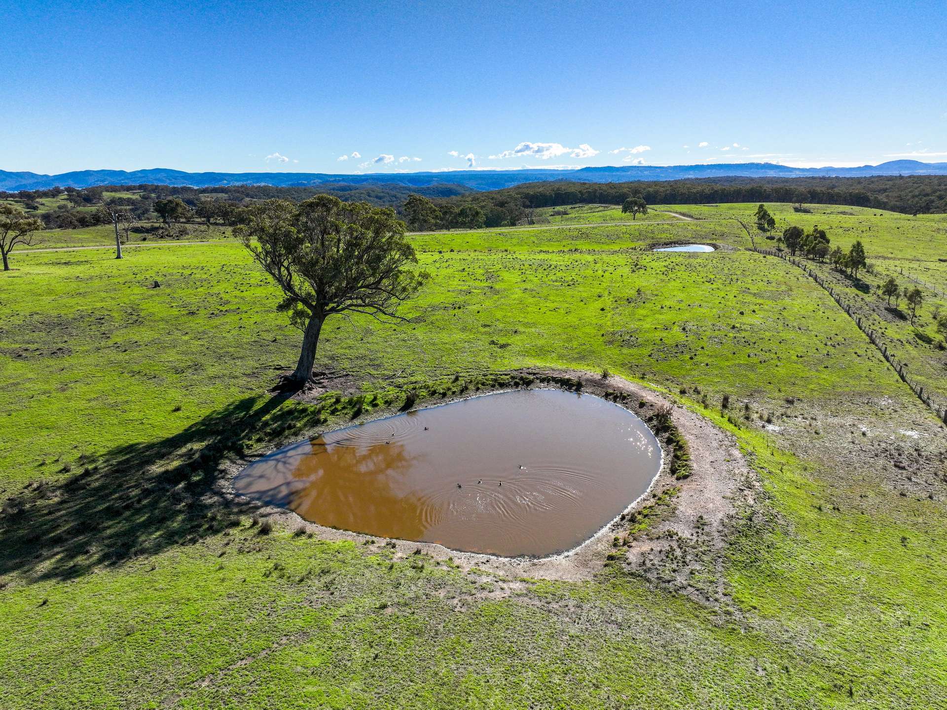 96 Wattle Brae Lane, Mudgee For Sale by Farmbuy.com - image 3