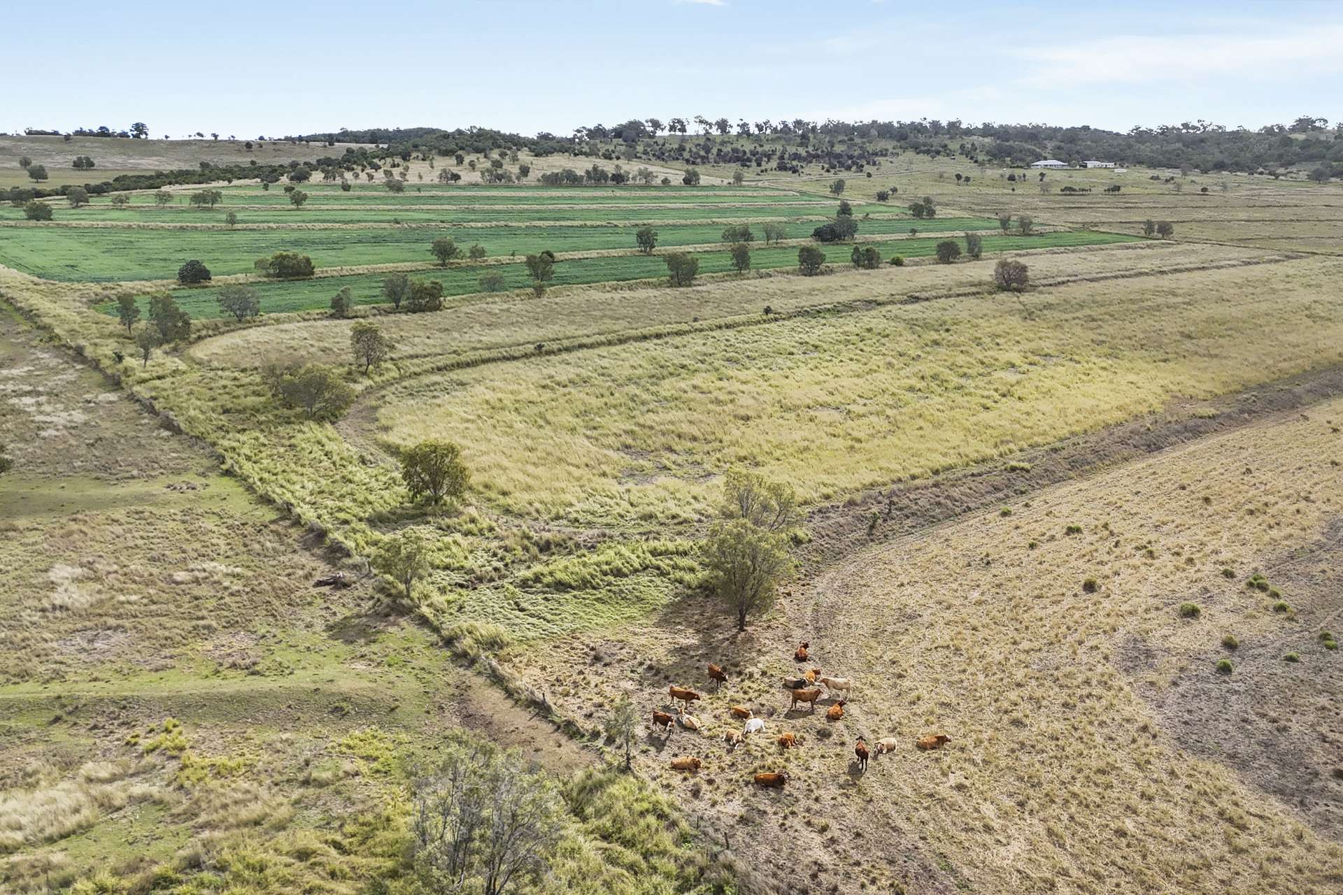 178 Nollers Road, Silverleigh For Sale by Farmbuy.com - image 4