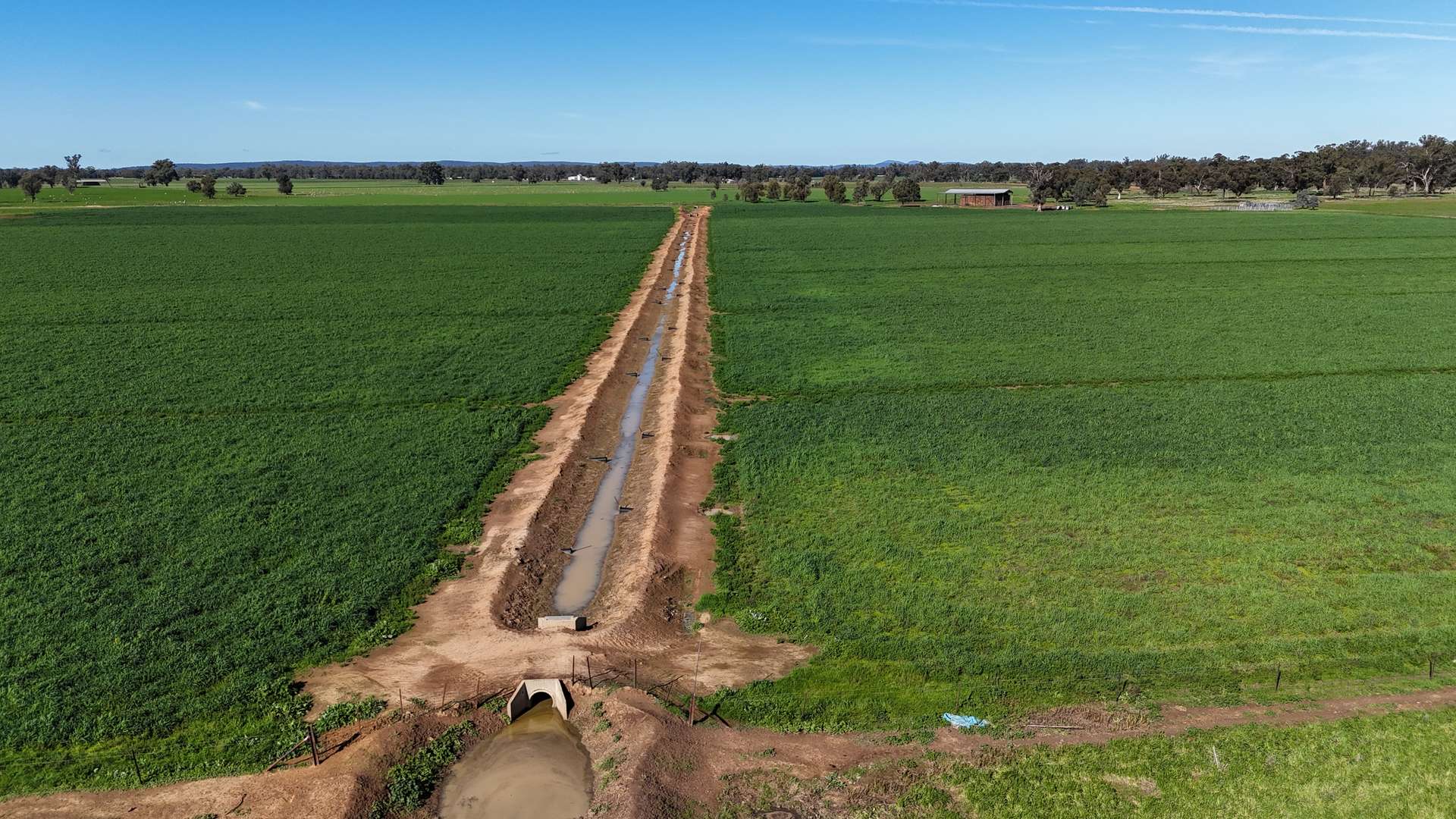 3412 Bedgerabong Road, Forbes For Sale by Farmbuy.com - image 21