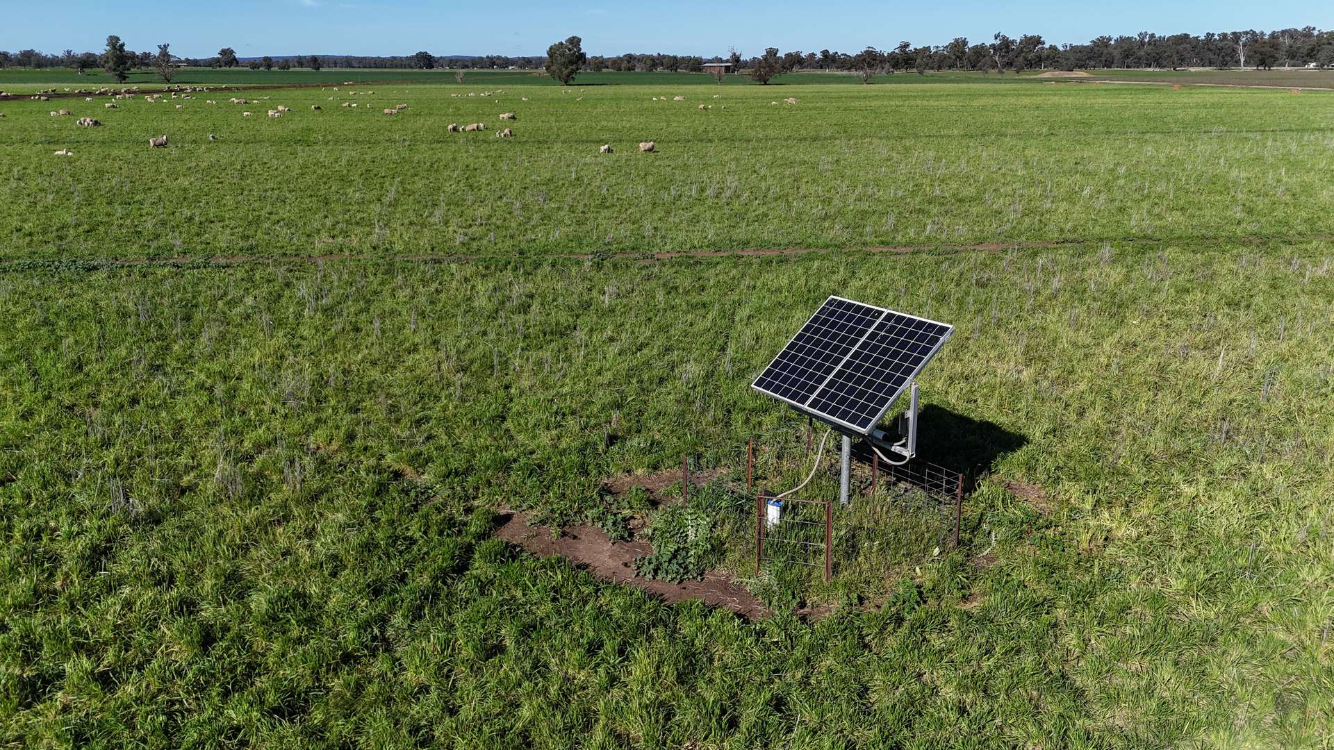 3412 Bedgerabong Road, Forbes For Sale by Farmbuy.com - image 19