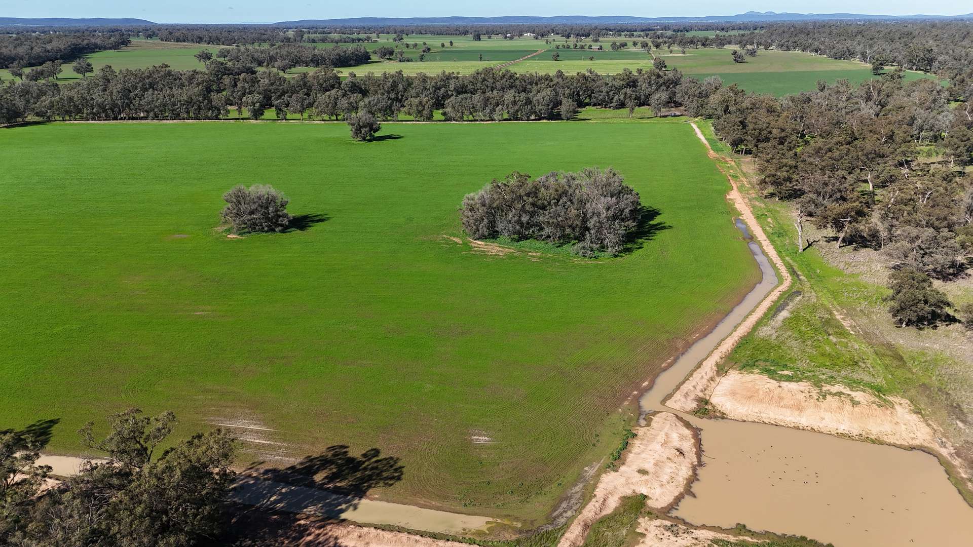 3412 Bedgerabong Road, Forbes For Sale by Farmbuy.com - image 11