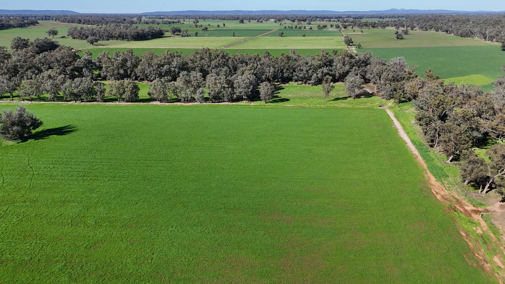 3412 Bedgerabong Road, Forbes For Sale by Farmbuy.com - image 13