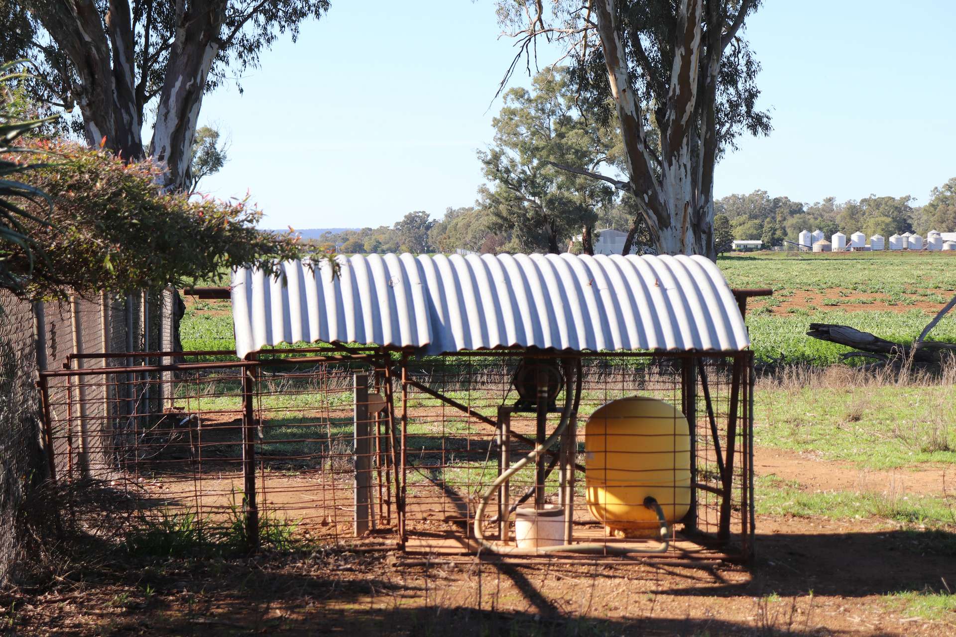 3412 Bedgerabong Road, Forbes For Sale by Farmbuy.com - image 34