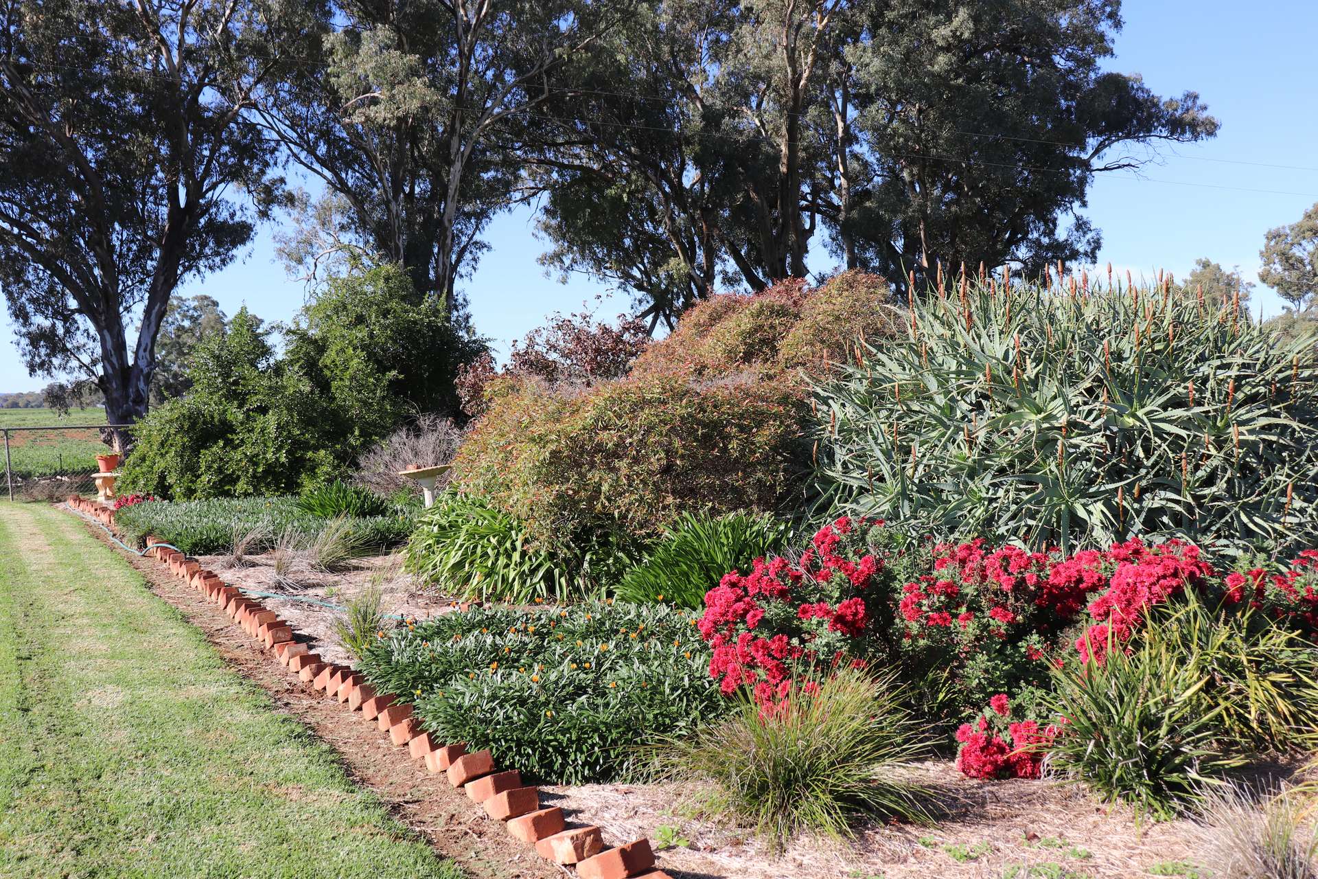 3412 Bedgerabong Road, Forbes For Sale by Farmbuy.com - image 35