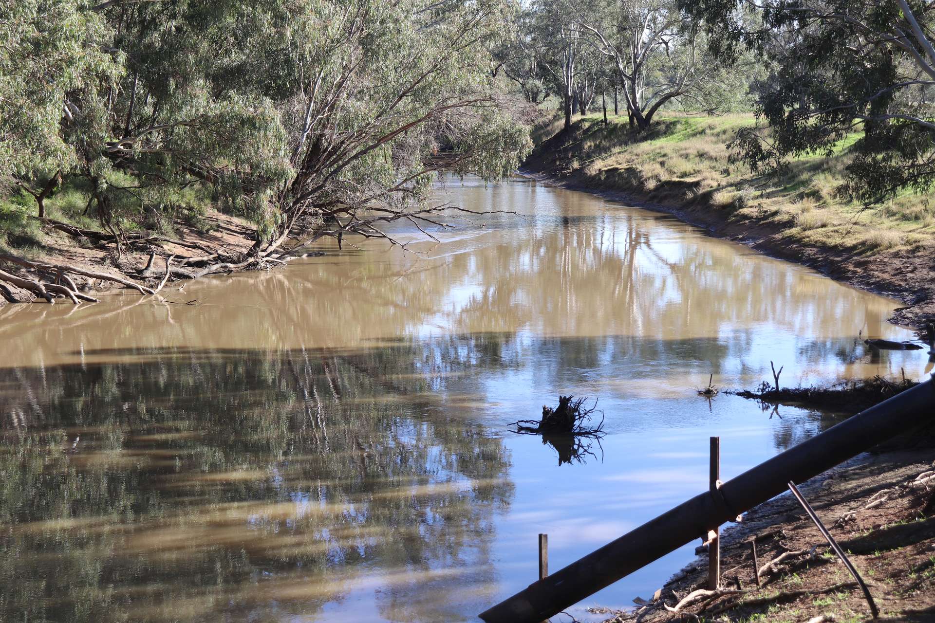 3412 Bedgerabong Road, Forbes For Sale by Farmbuy.com - image 12