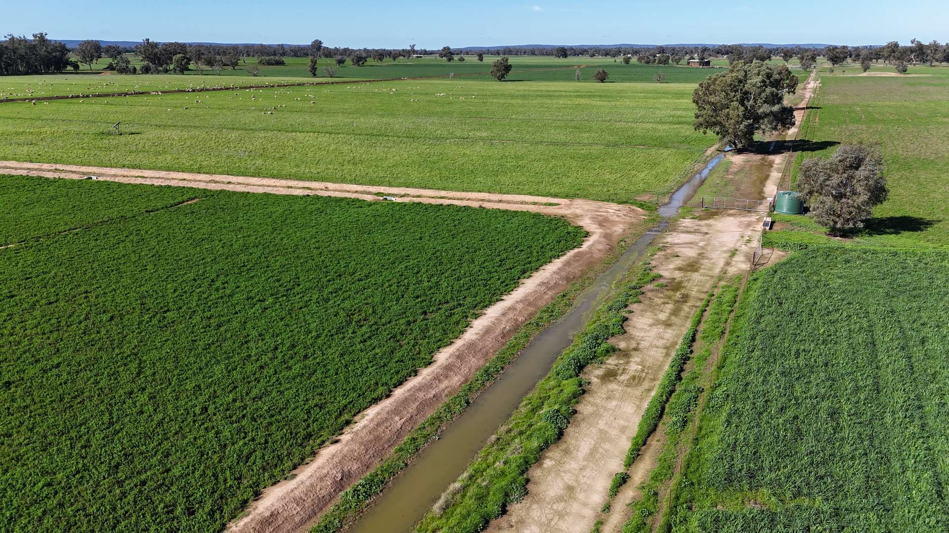 3412 Bedgerabong Road, Forbes For Sale by Farmbuy.com - image 18