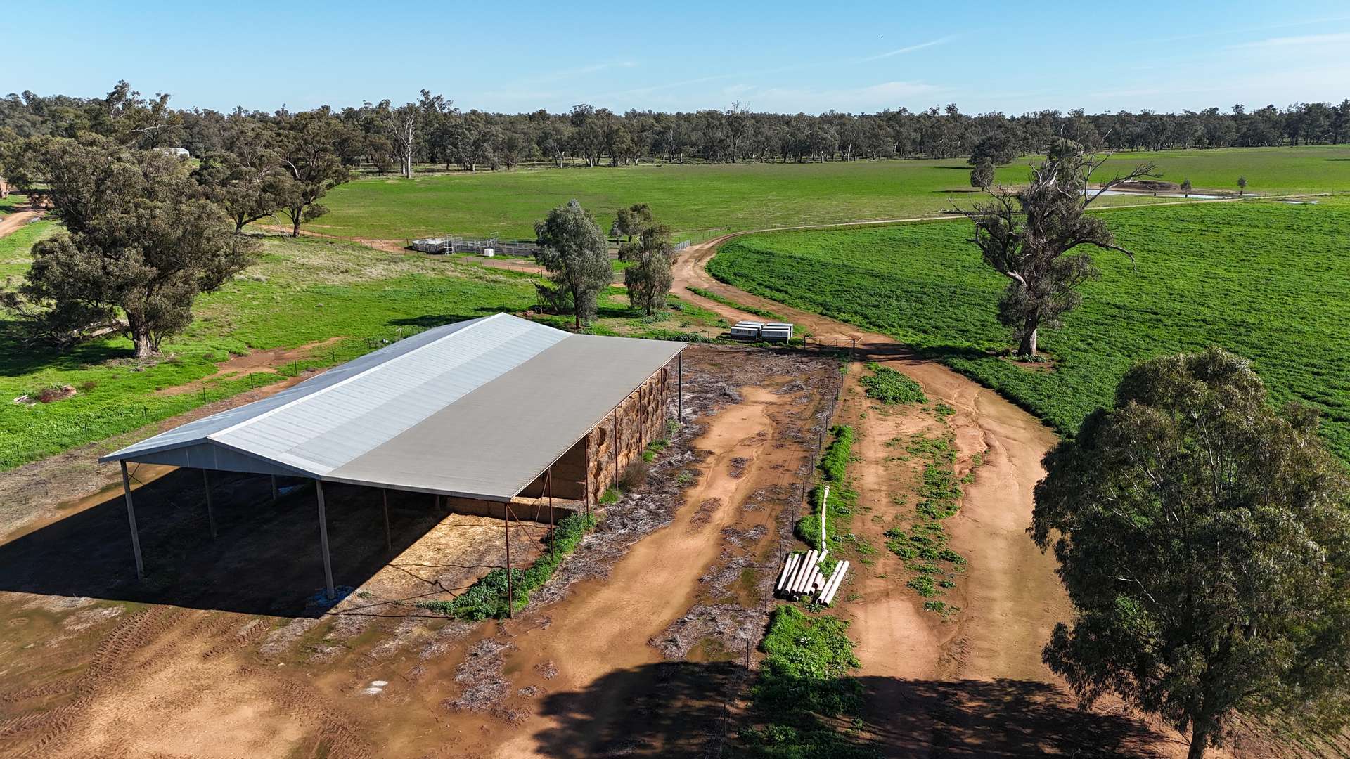 3412 Bedgerabong Road, Forbes For Sale by Farmbuy.com - image 22