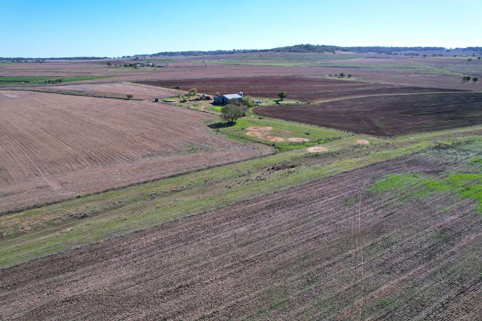 Forest Plain Road, Forest Springs Auction by Farmbuy.com - image 4