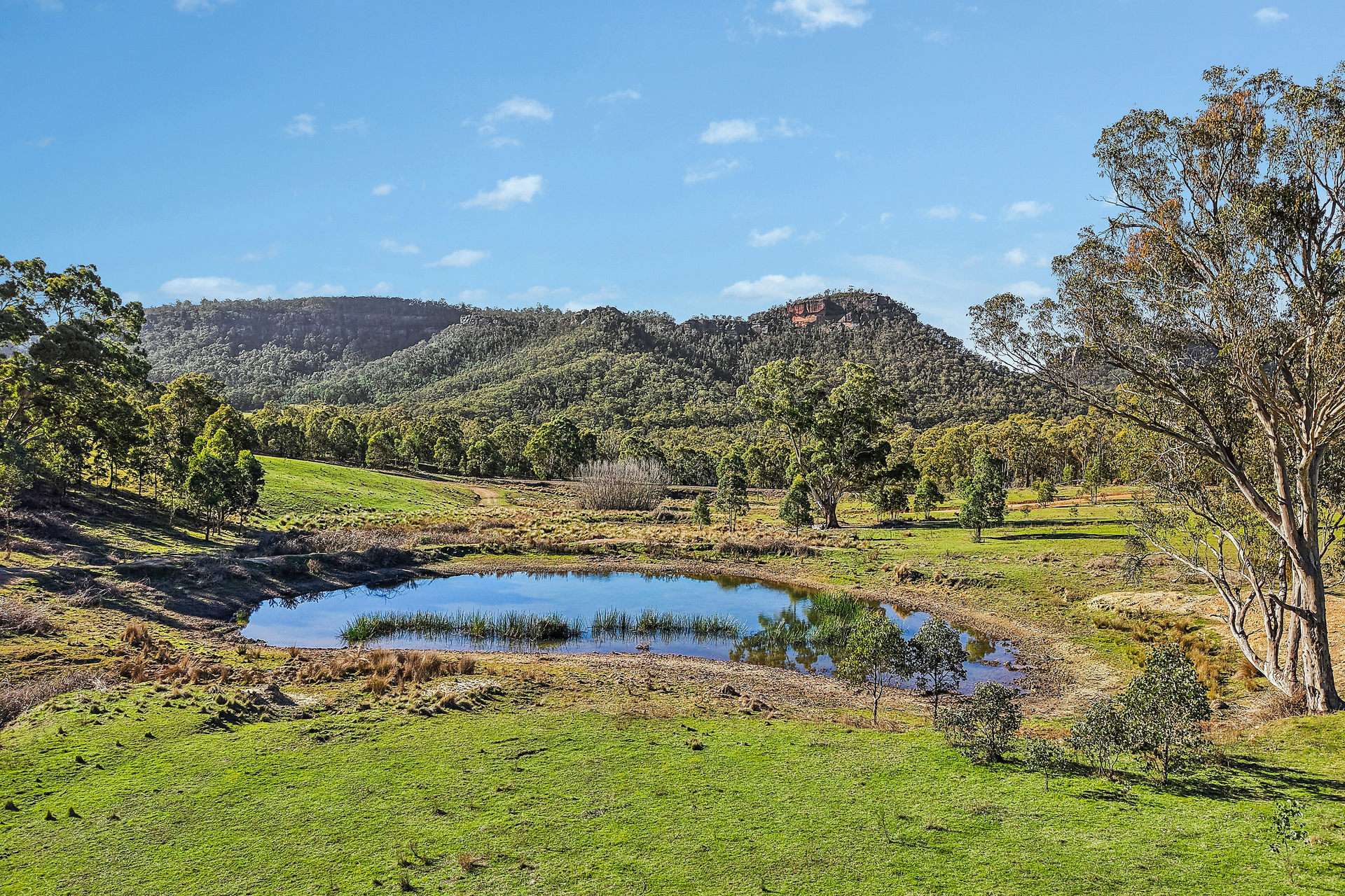 375 Mcdonalds Hole Road, Lithgow For Sale by Farmbuy.com - image 1