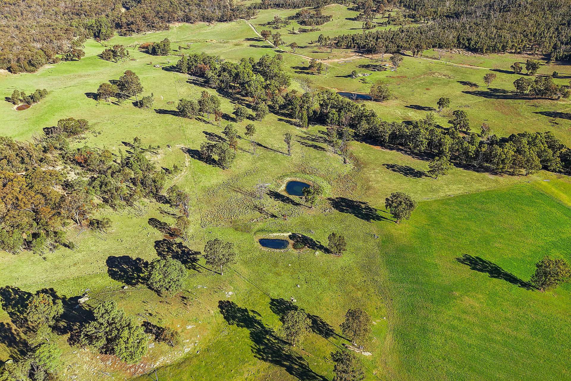 375 Mcdonalds Hole Road, Lithgow For Sale by Farmbuy.com - image 5