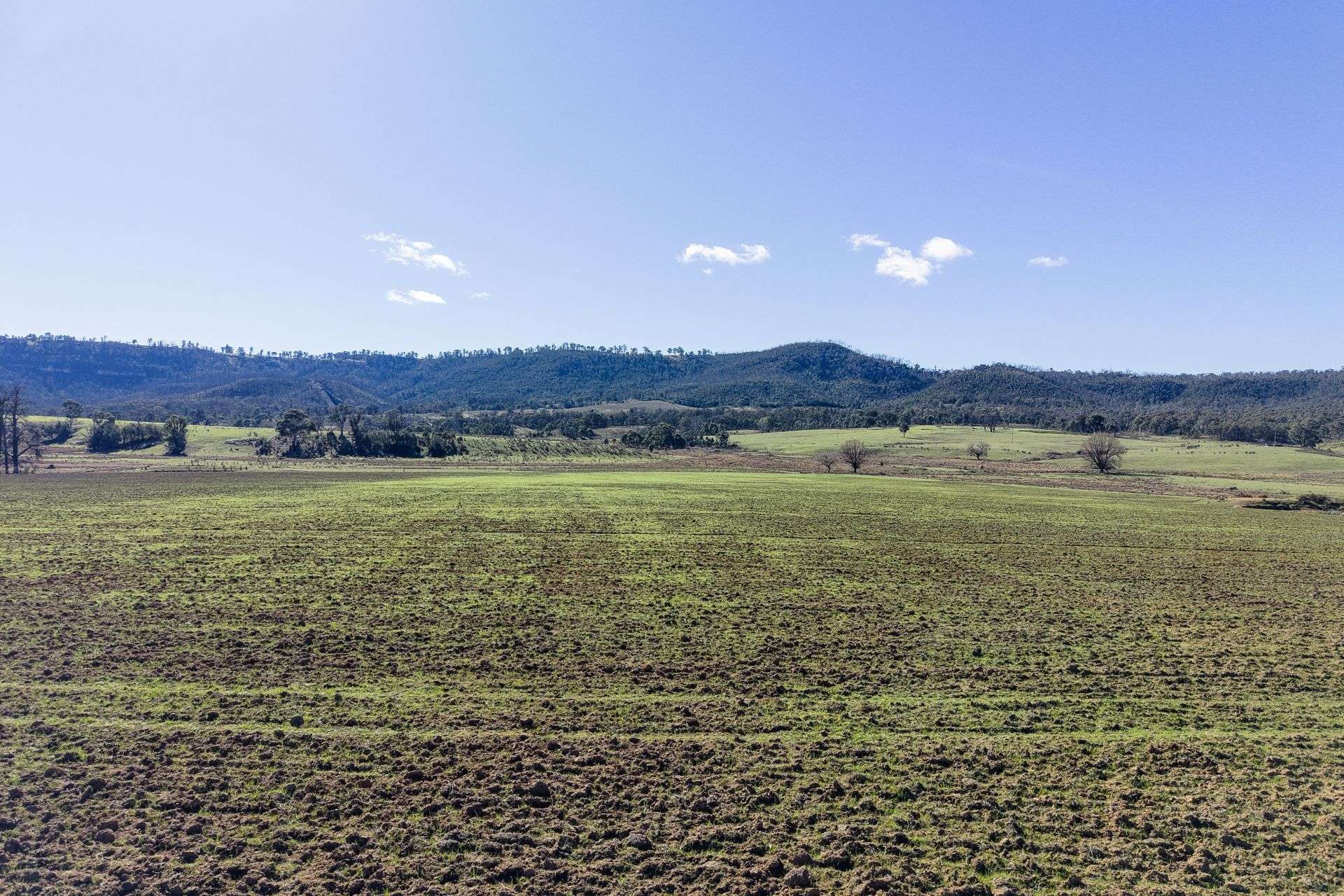 5506 Castlereagh Highway, Running Stream For Sale by Farmbuy.com - image 8