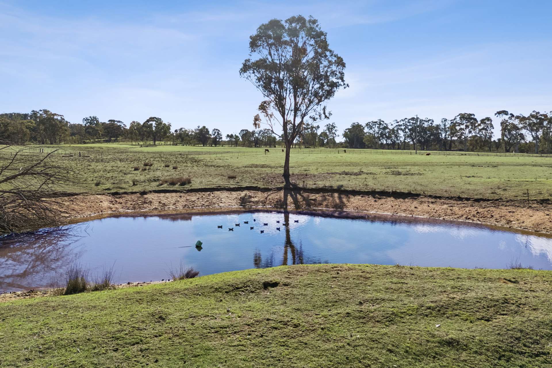 4405 Bylong Valley Way, Rylstone Auction by Farmbuy.com - image 2
