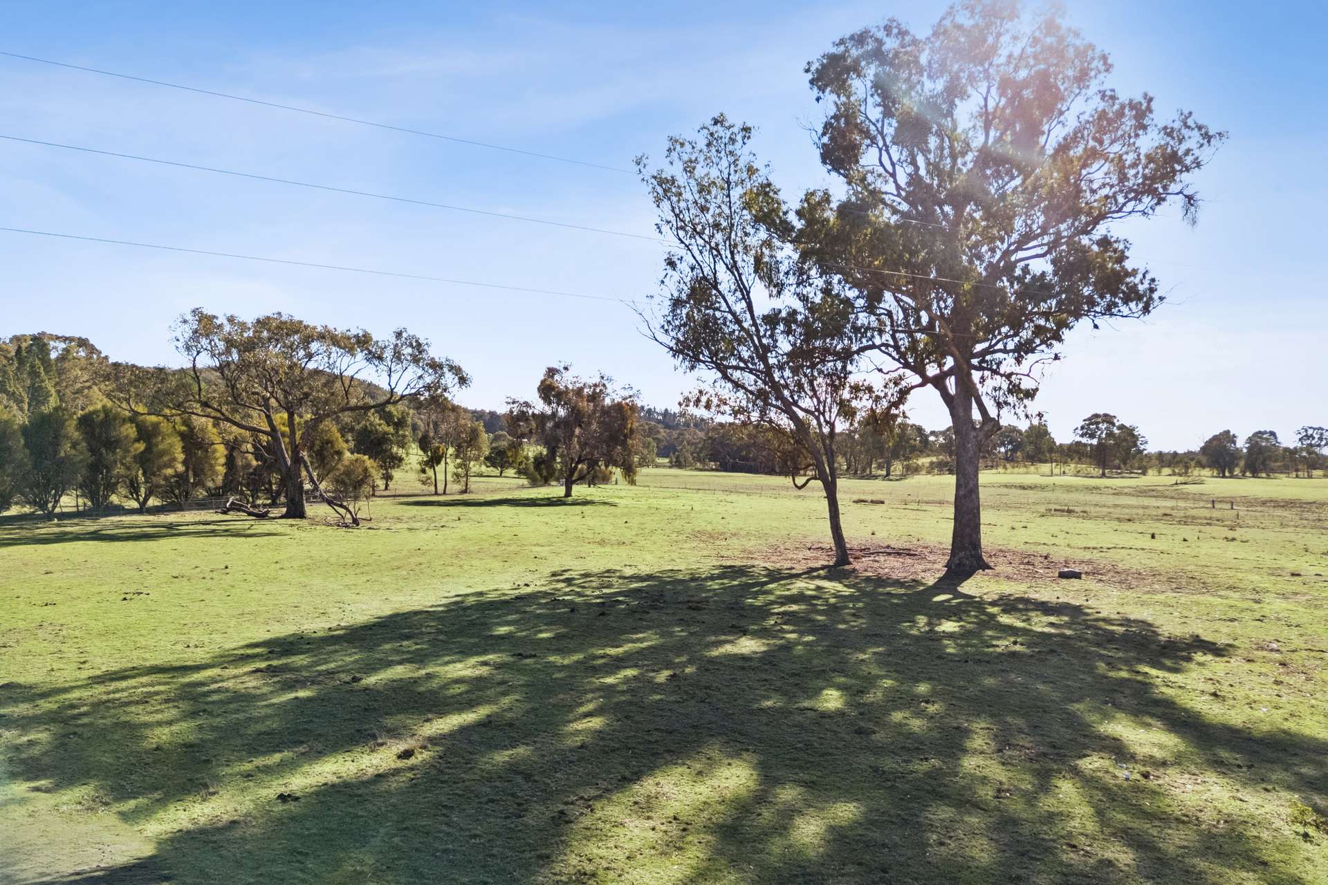 4405 Bylong Valley Way, Rylstone Auction by Farmbuy.com - image 5