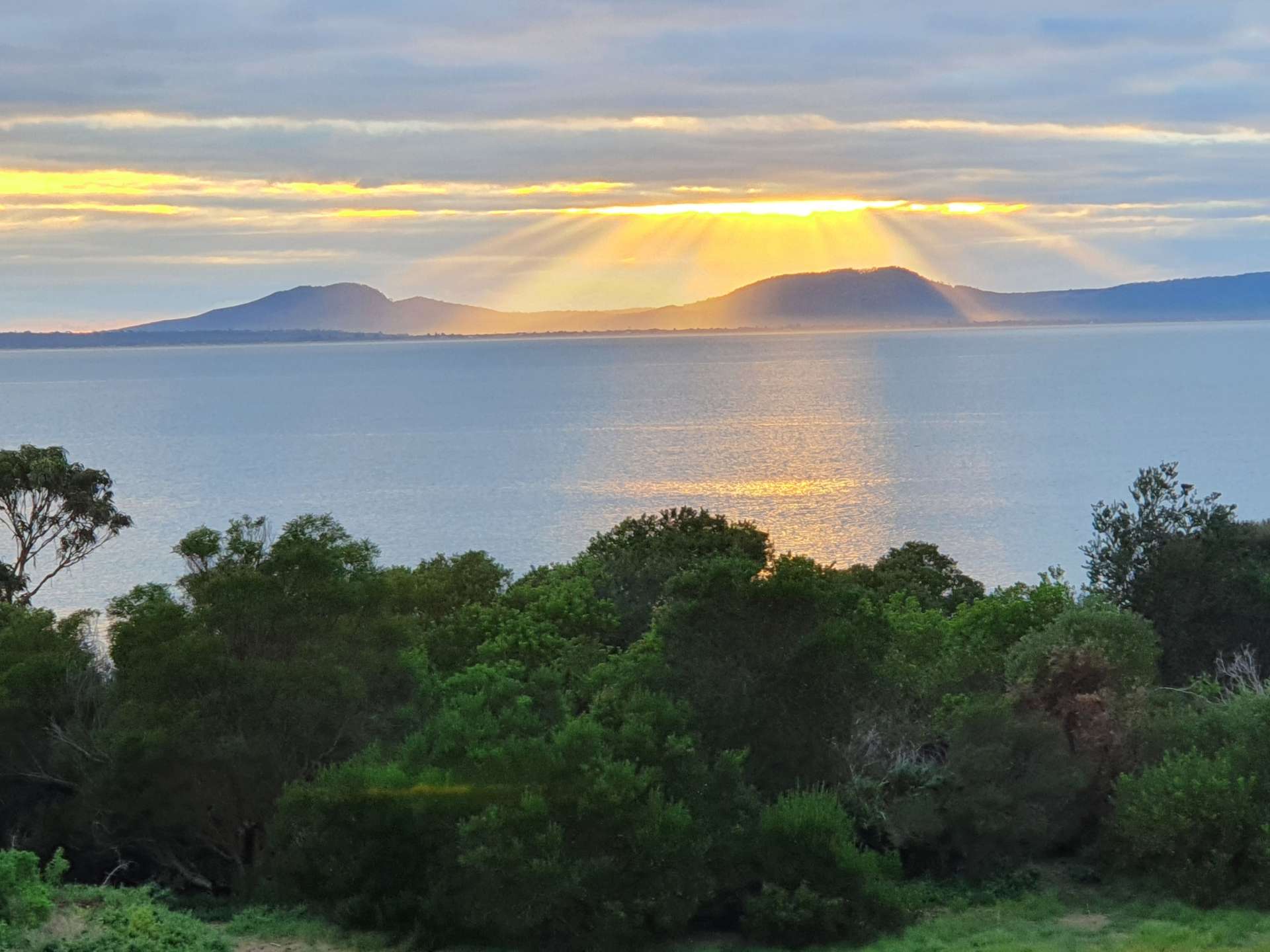 3 Kennedia Place, Swansea For Sale by Farmbuy.com - image 3