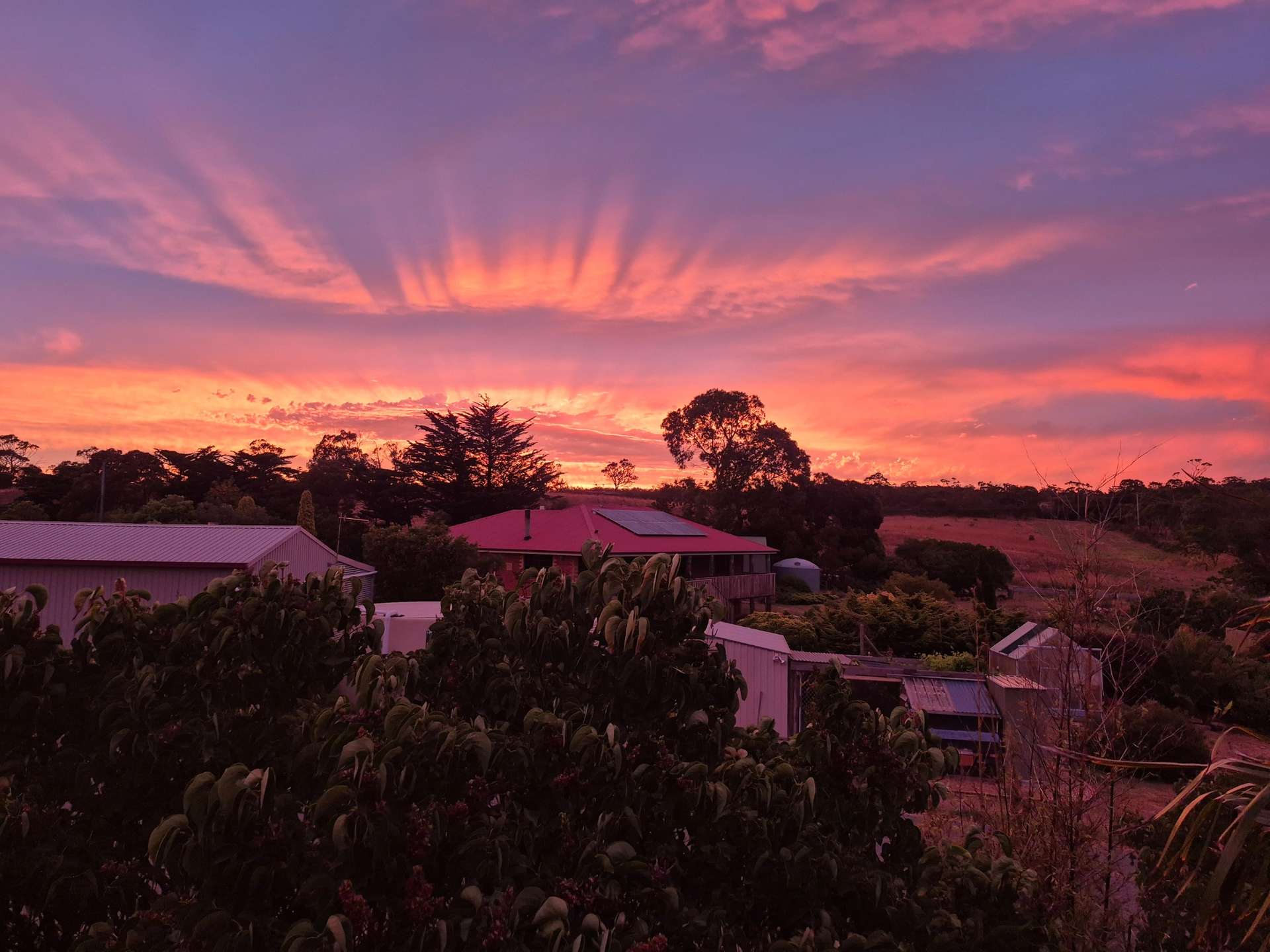 3 Kennedia Place, Swansea For Sale by Farmbuy.com - image 34
