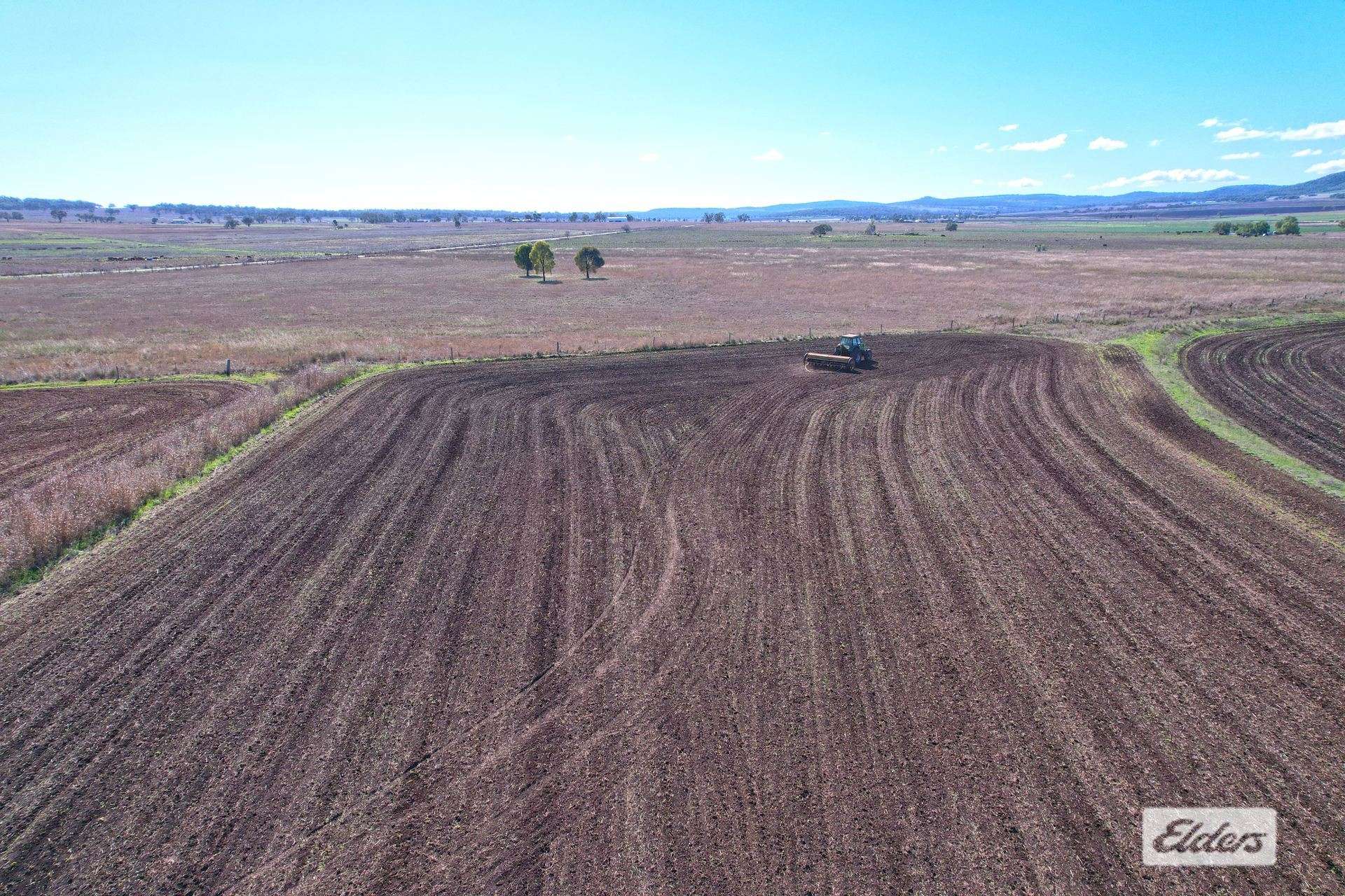 Forest Plain Road, Allora Auction by Farmbuy.com - image 3