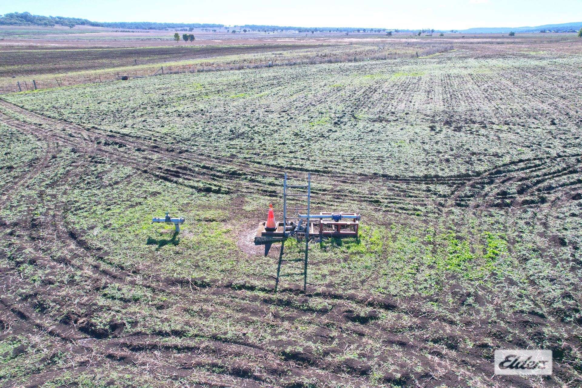 Forest Plain Road, Allora Auction by Farmbuy.com - image 6