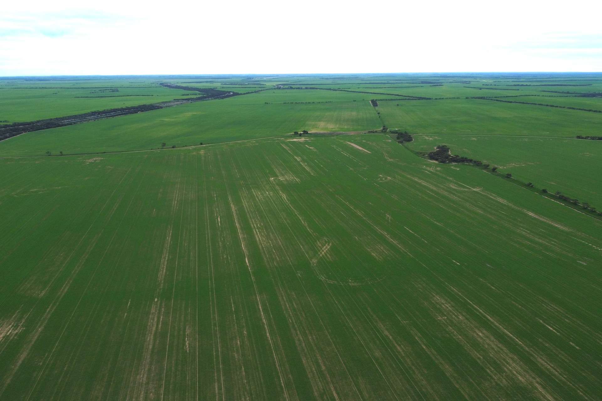 42666 Eyre Highway, Mudamuckla For Sale by Farmbuy.com - image 7